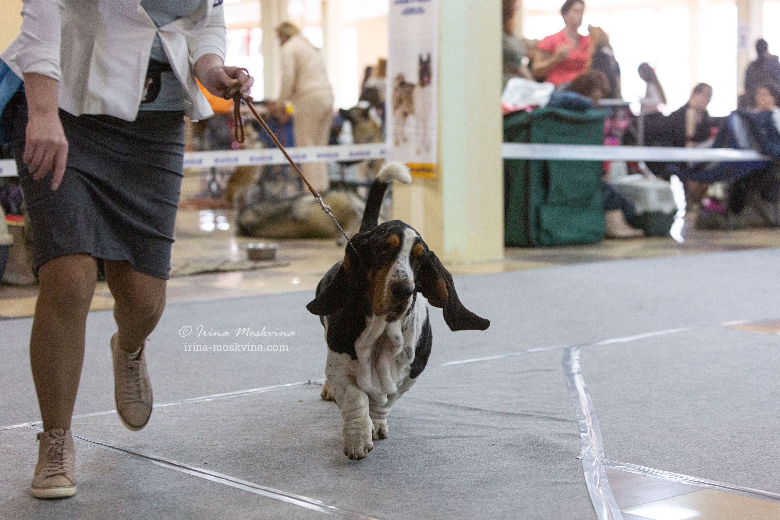 Белгород | САС | 02.04.22. Ирина Москвина | фотограф | Москва