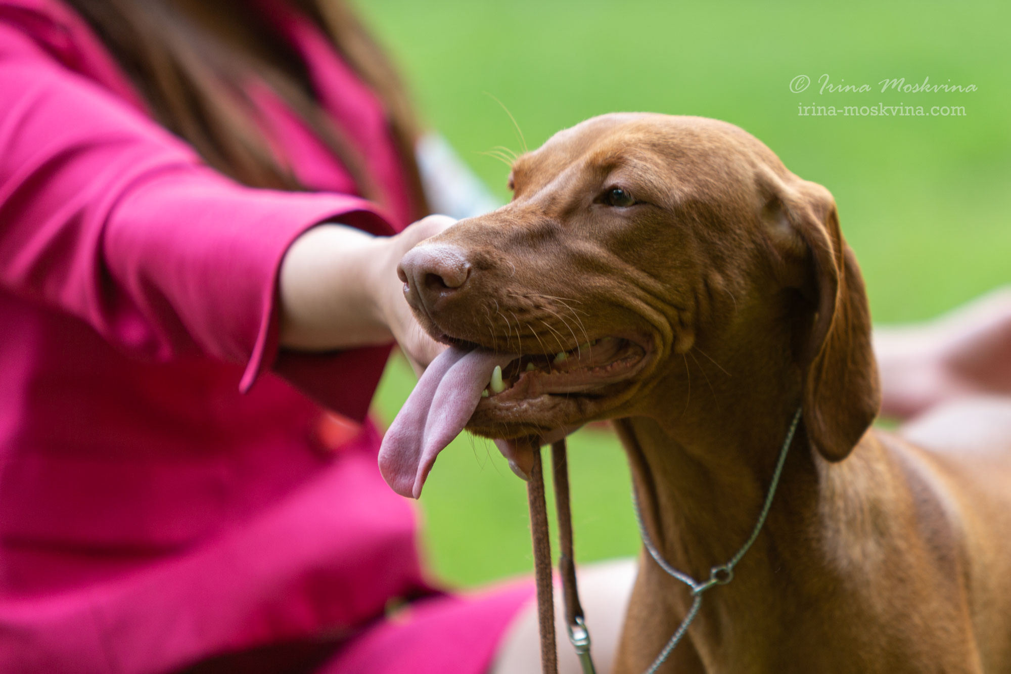 Москва, Сокольники | САС | 23.07.23. Ирина Москвина | фотограф | Москва