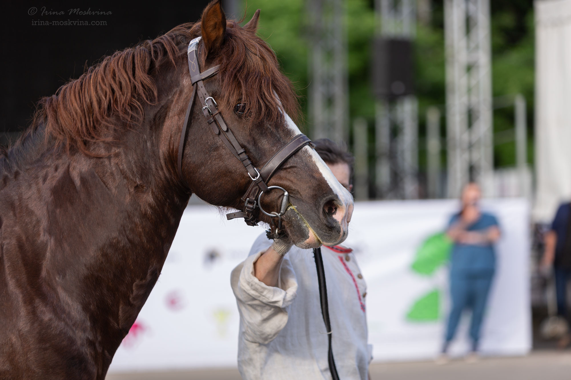 Русский тяжеловоз