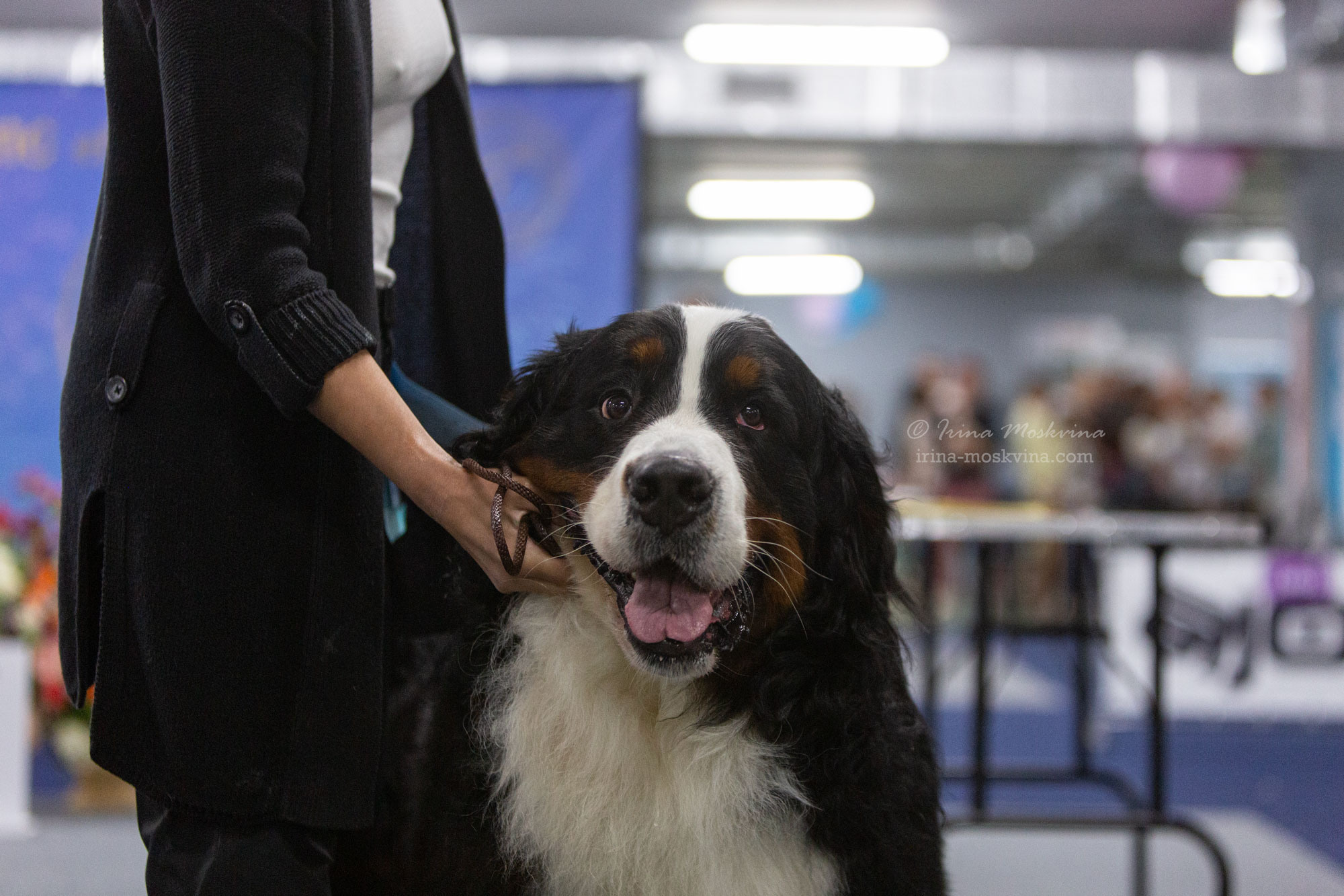 Москва, ВЦ «Сфера» | САС | 29.07.23. Ирина Москвина | фотограф | Москва