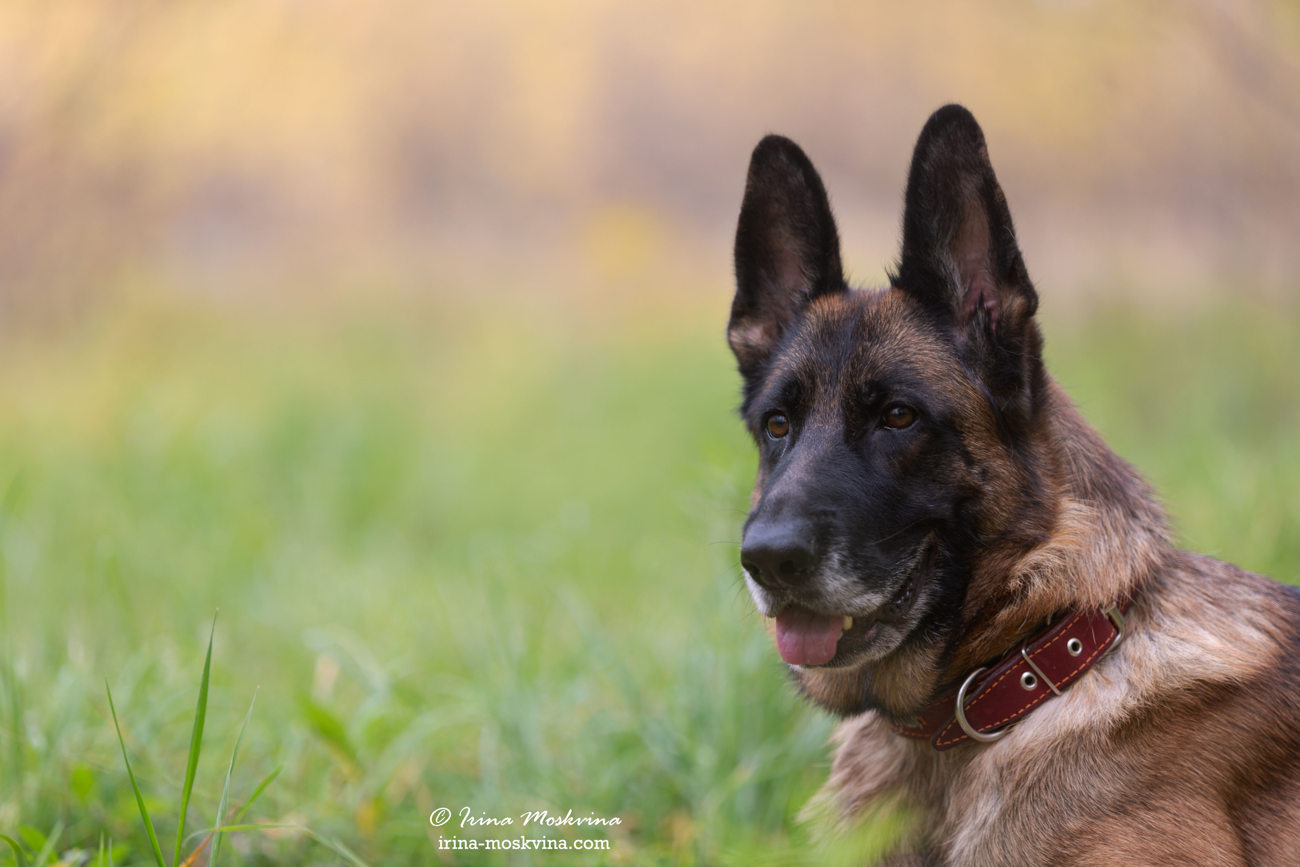 Valdzage Ritsa. Ирина Москвина | фотограф | Москва