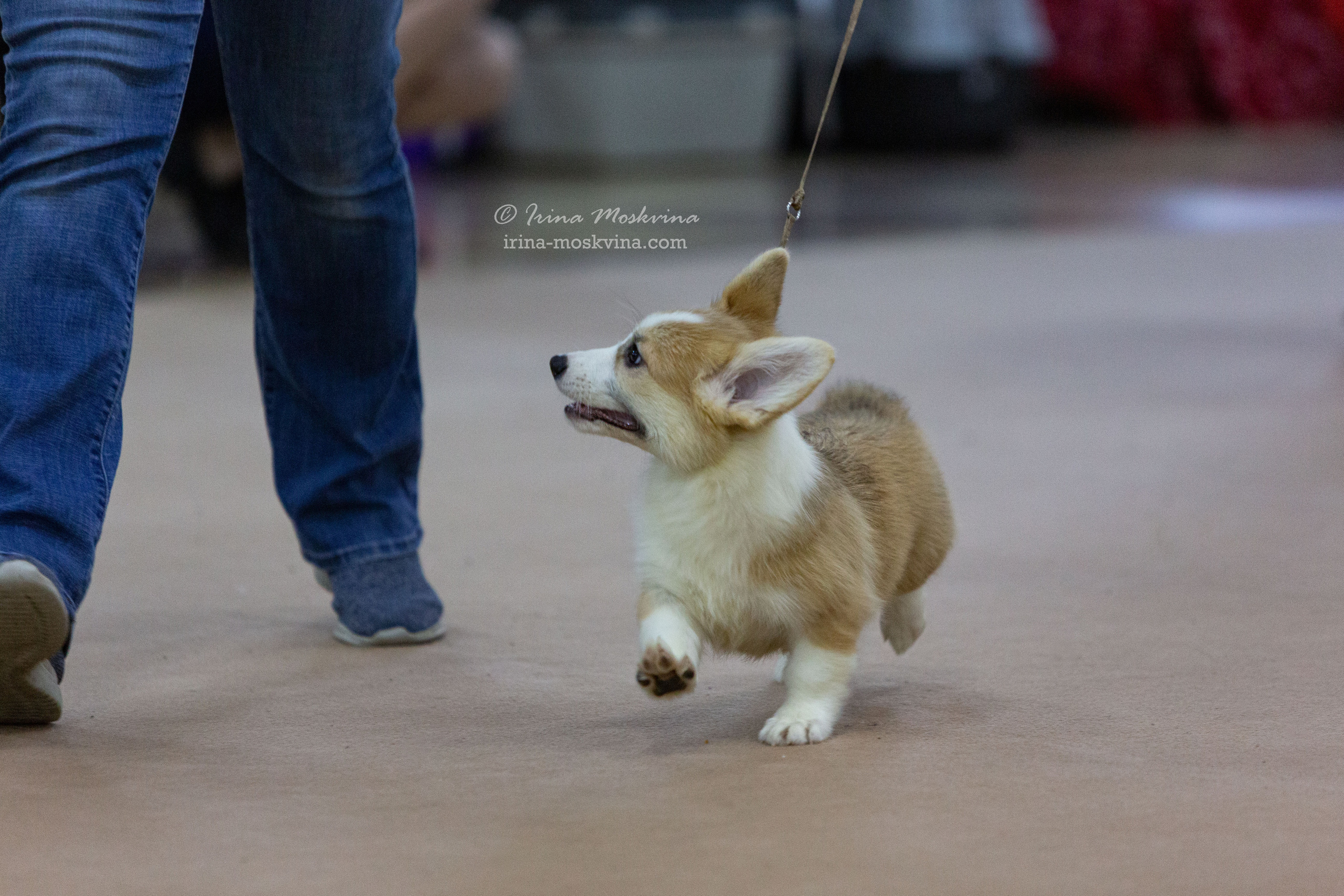 Белгород | САС | 02.04.22. Ирина Москвина | фотограф | Москва