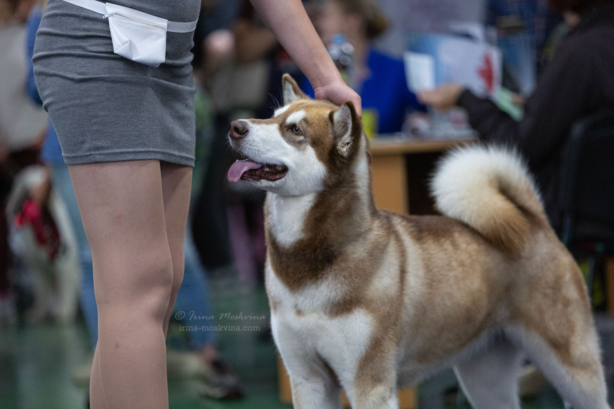 Москва, ВЦ «Сфера» | САС | 29.07.23. Ирина Москвина | фотограф | Москва