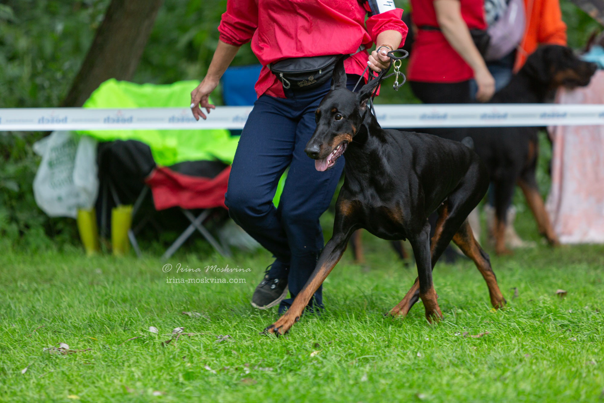 Москва, Сокольники | САС | 23.07.23. Ирина Москвина | фотограф | Москва