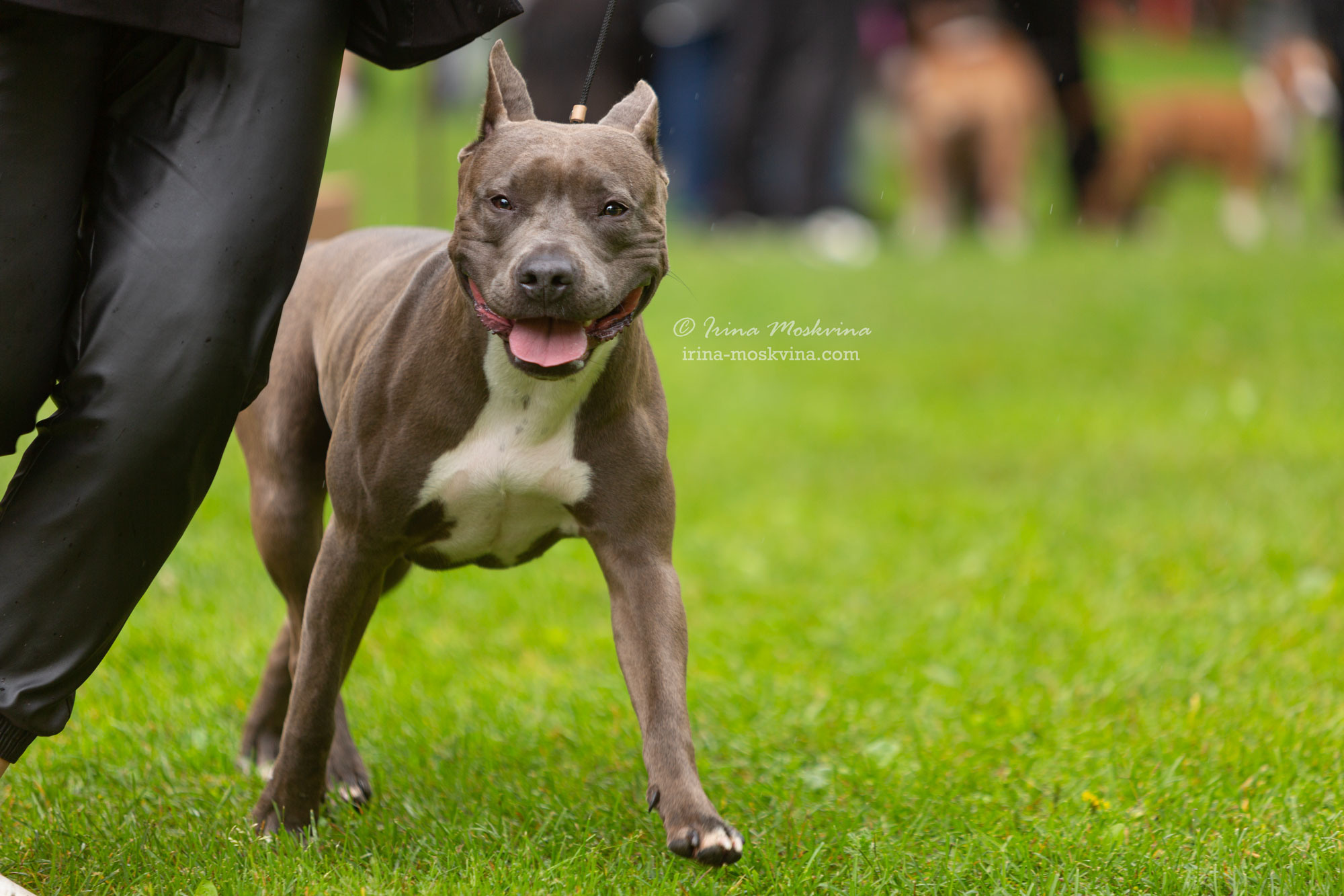 Москва, Сокольники | САС | 15.07.23. Ирина Москвина | фотограф | Москва