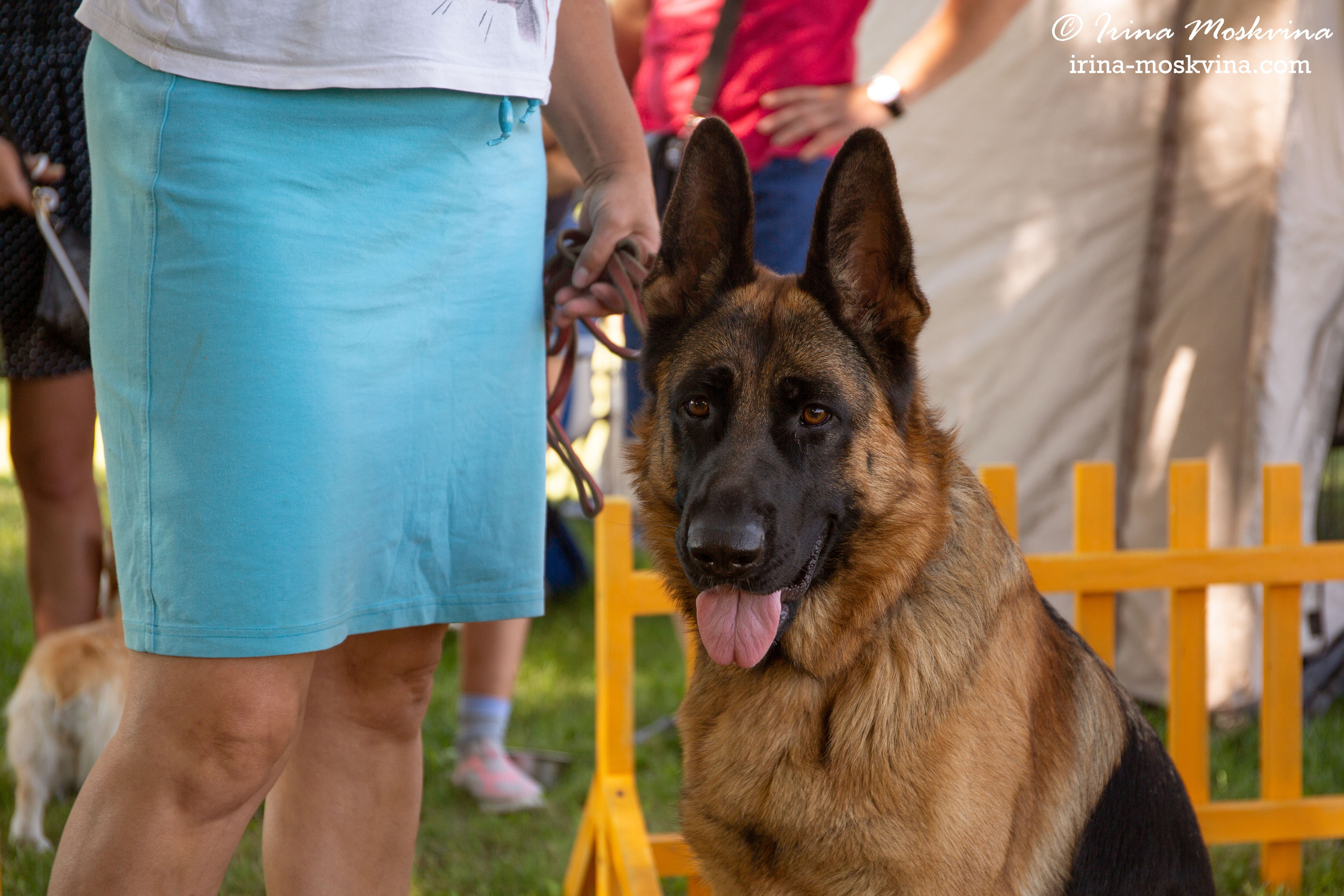 Липецк | САС | 31.07.21. Ирина Москвина | фотограф | Москва