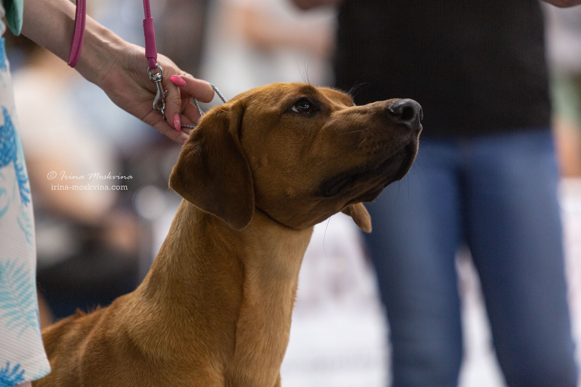 Москва, ВЦ «Сфера» | САС | 01.07.23. Ирина Москвина | фотограф | Москва
