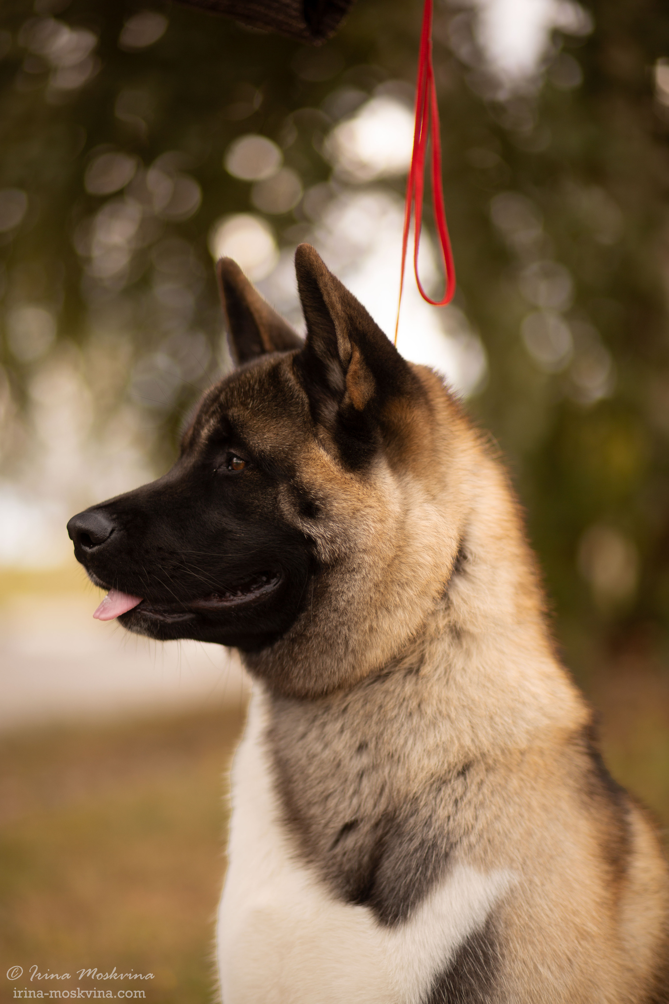 Старый Оскол | САС | 05.09.21. Ирина Москвина | фотограф | Москва