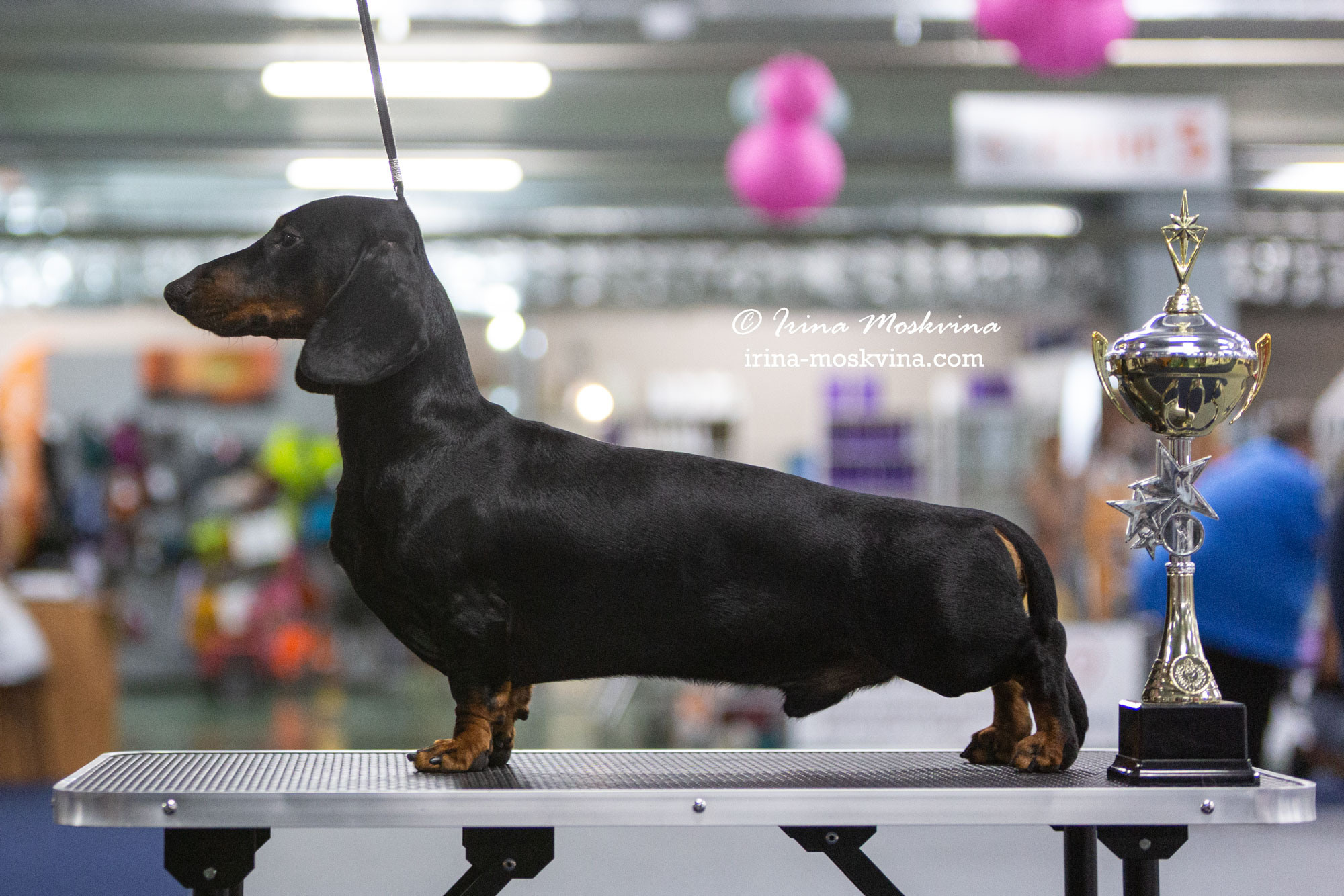 Москва, ВЦ «Сфера» | САС | 22.07.23. Ирина Москвина | фотограф | Москва