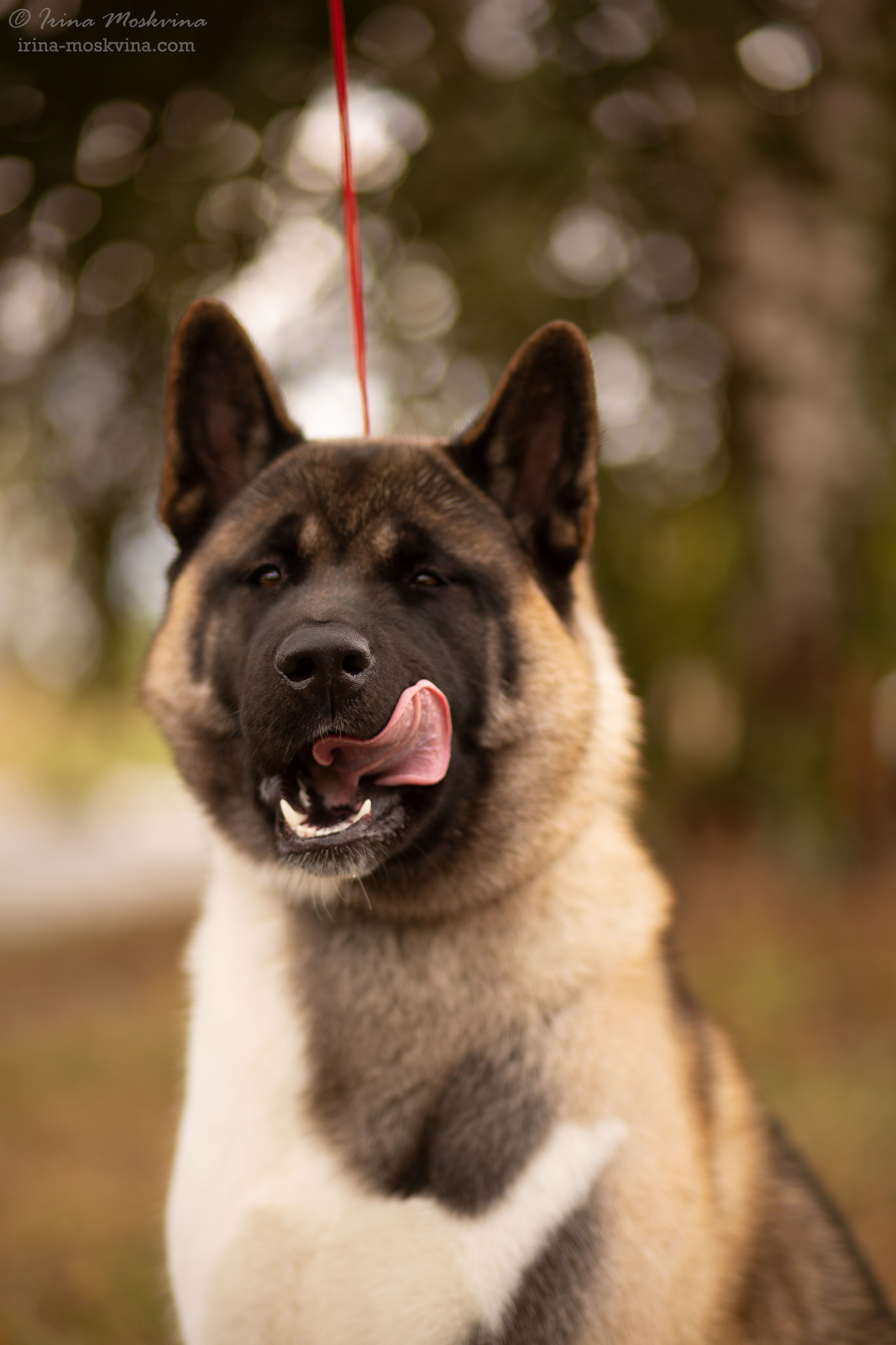 Старый Оскол | САС | 05.09.21. Ирина Москвина | фотограф | Москва