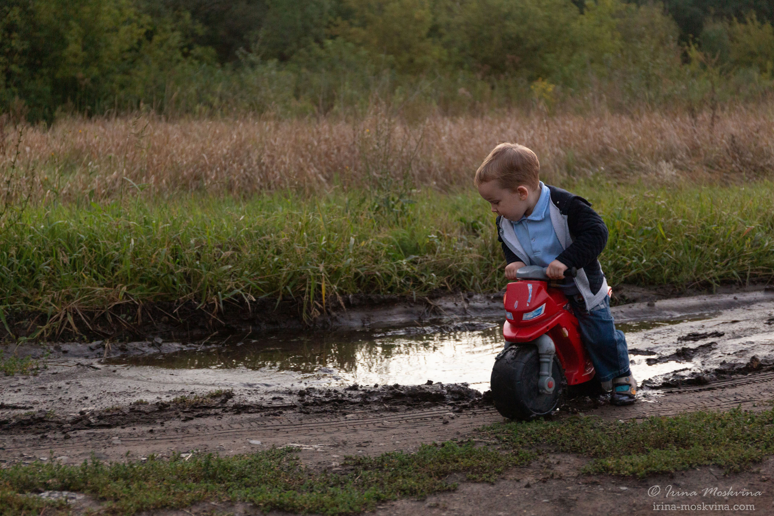 Егорка | август 2021. Ирина Москвина | фотограф | Москва