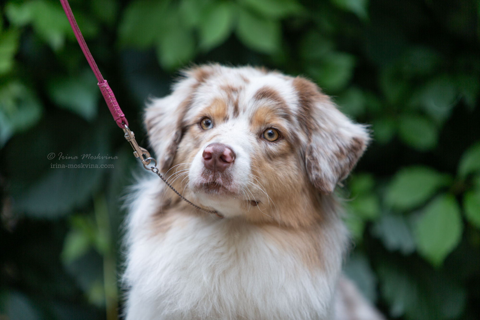Москва, Сокольники | САС | 15.07.23. Ирина Москвина | фотограф | Москва