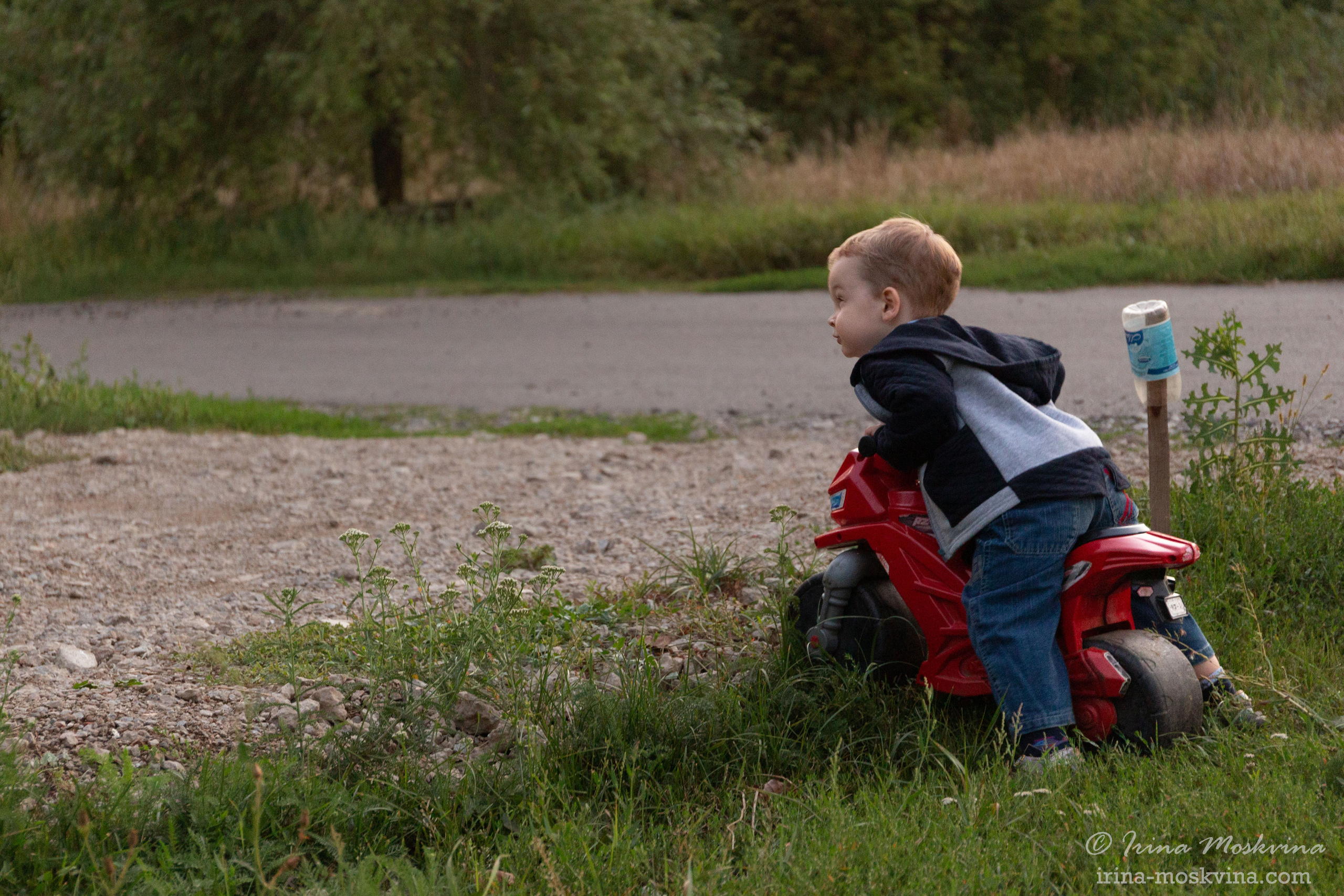 Егорка | август 2021. Ирина Москвина | фотограф | Москва