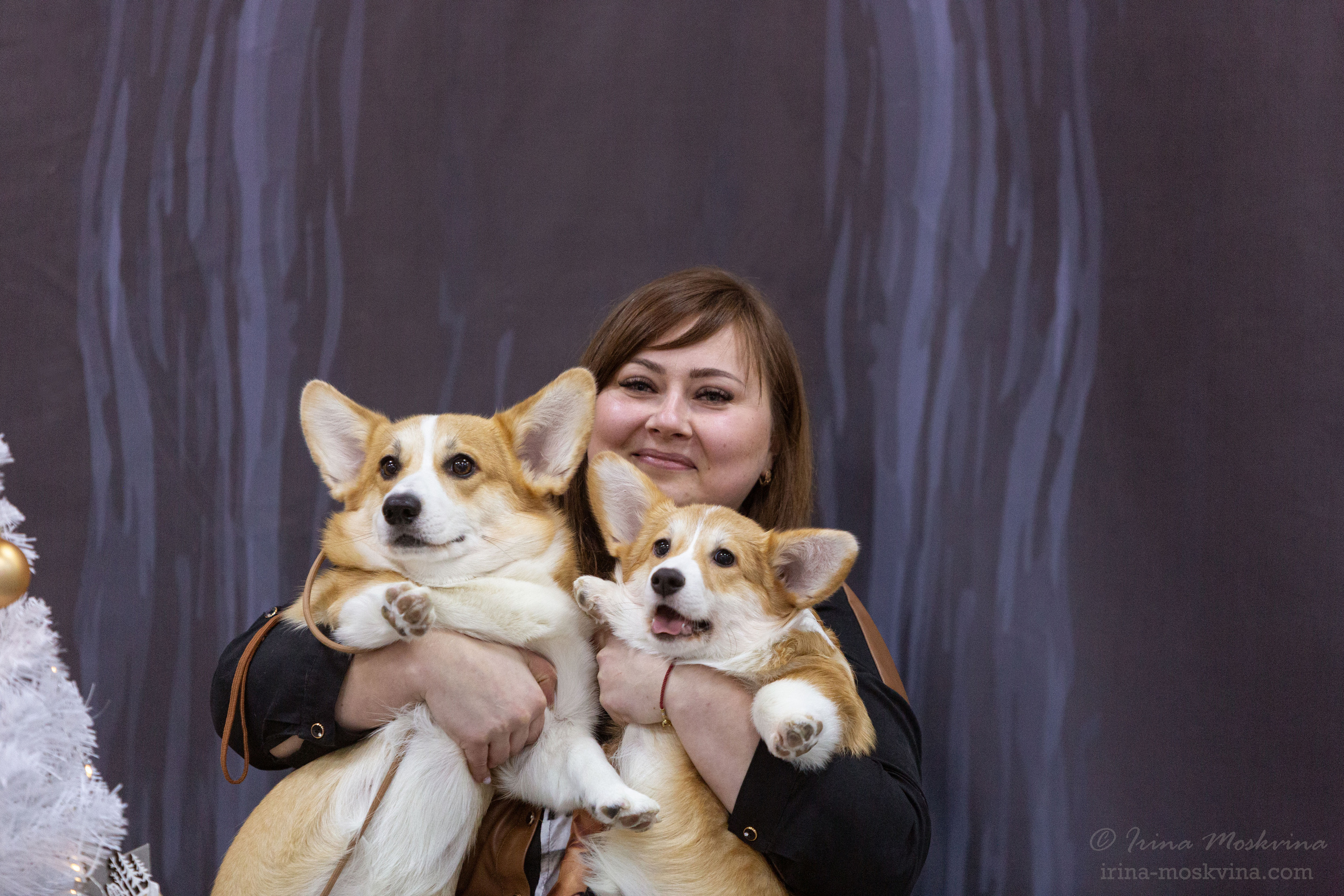 Белгород | САС | 25.12.21. Ирина Москвина | фотограф | Москва