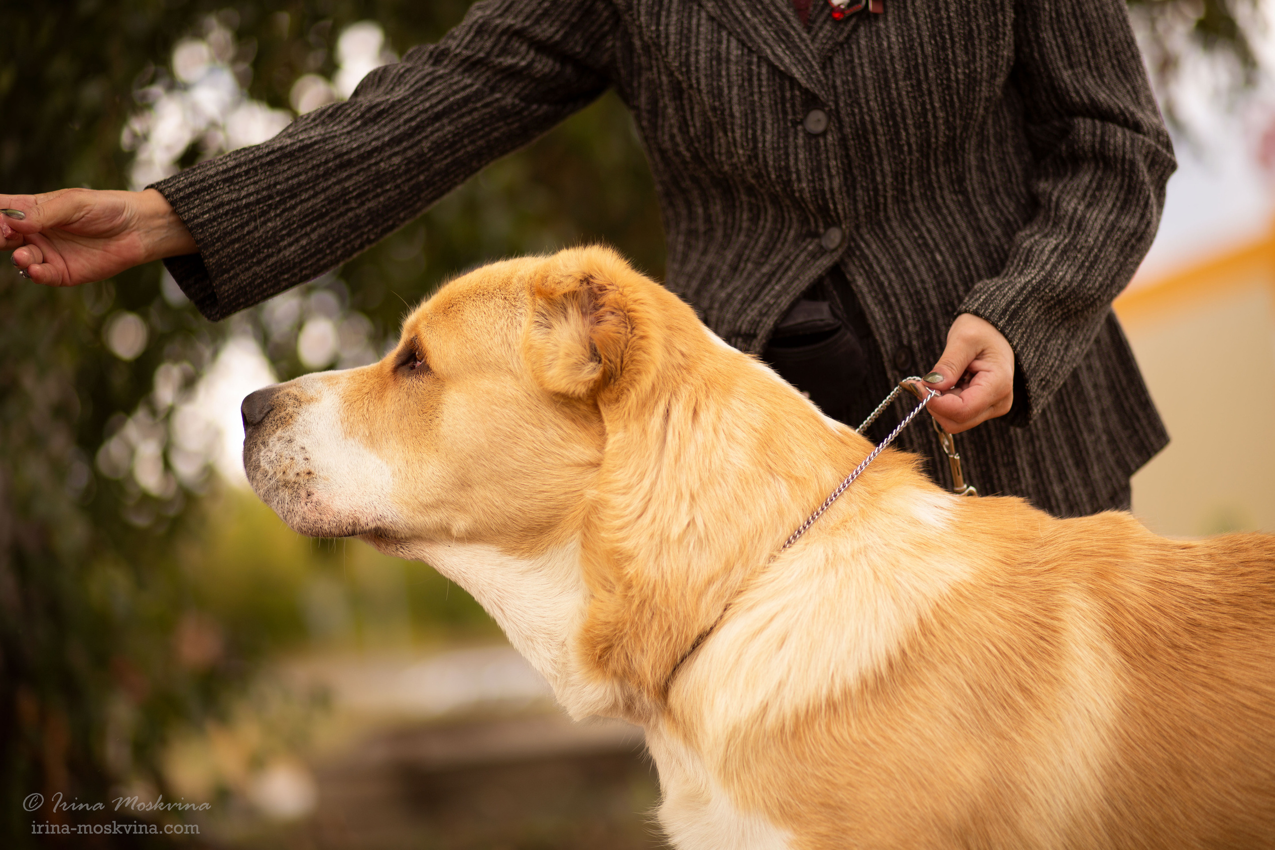 Старый Оскол | САС | 05.09.21. Ирина Москвина | фотограф | Москва