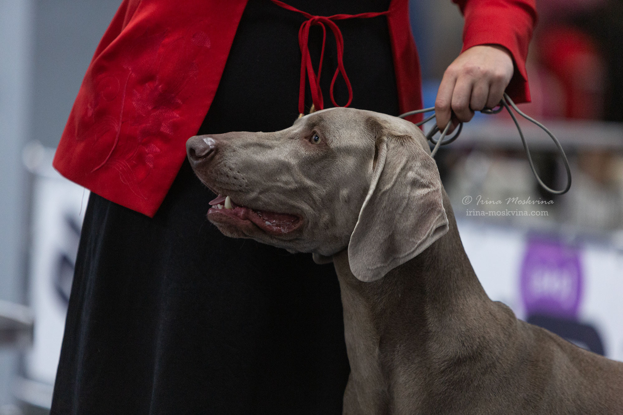 Москва, ВЦ «Сфера» | САС | 22.07.23. Ирина Москвина | фотограф | Москва
