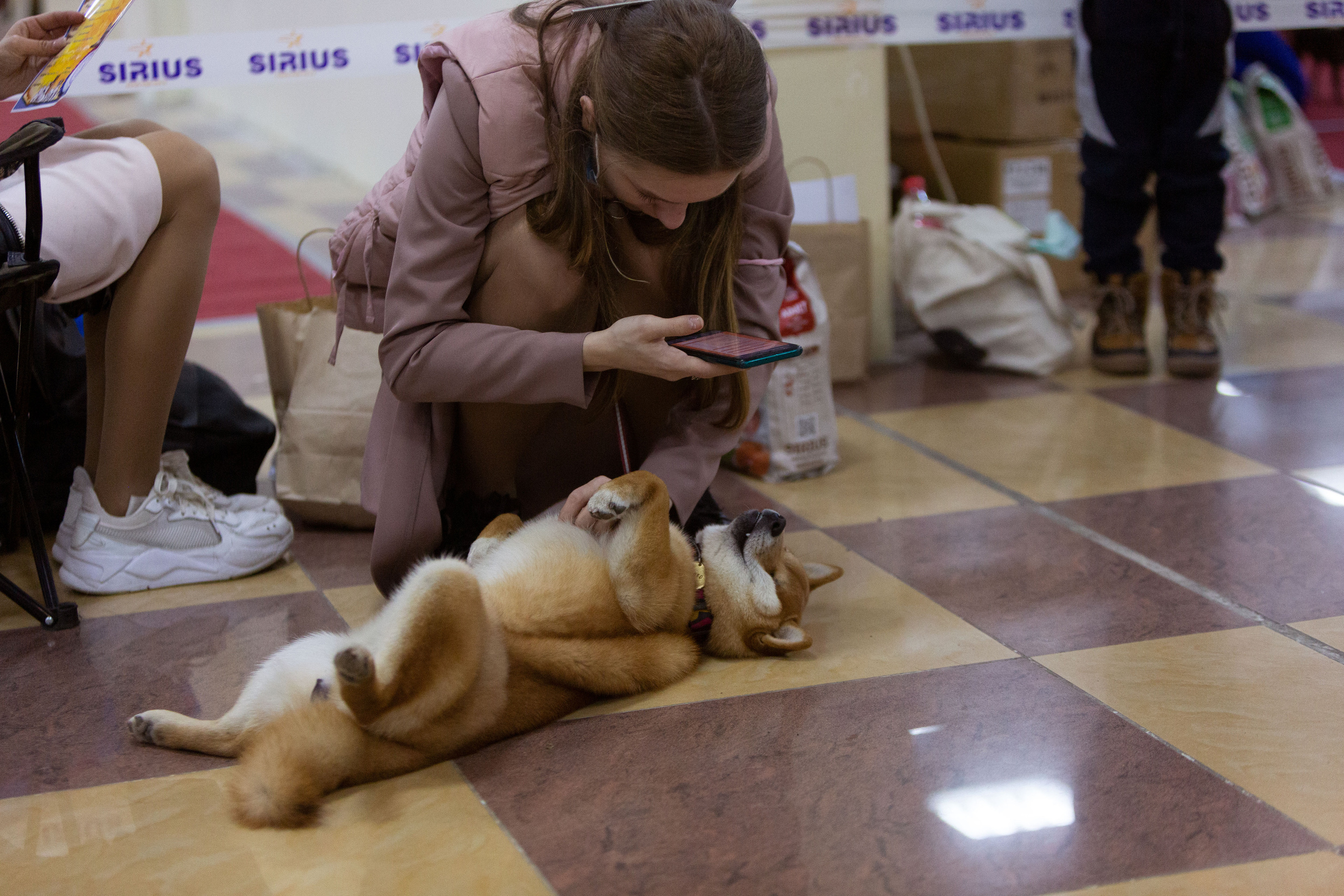 Белгород | САС | 14.11.21. Ирина Москвина | фотограф | Москва