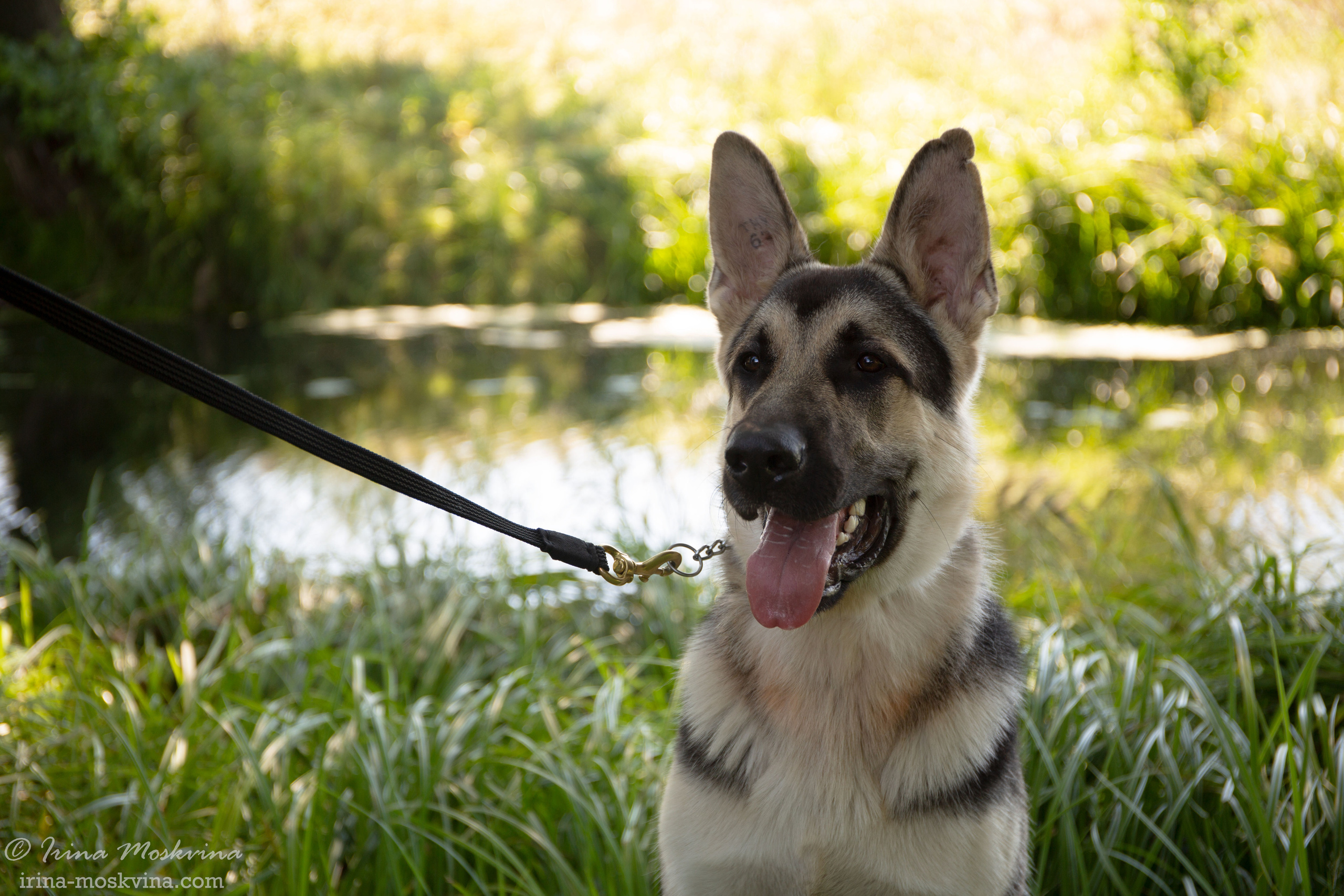 Липецк | САС | 31.07.21. Ирина Москвина | фотограф | Москва