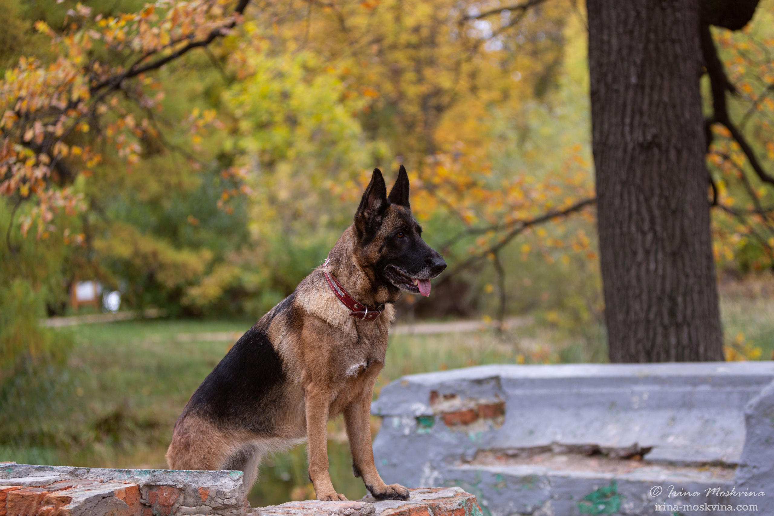 Valdzage Ritsa. Ирина Москвина | фотограф | Москва