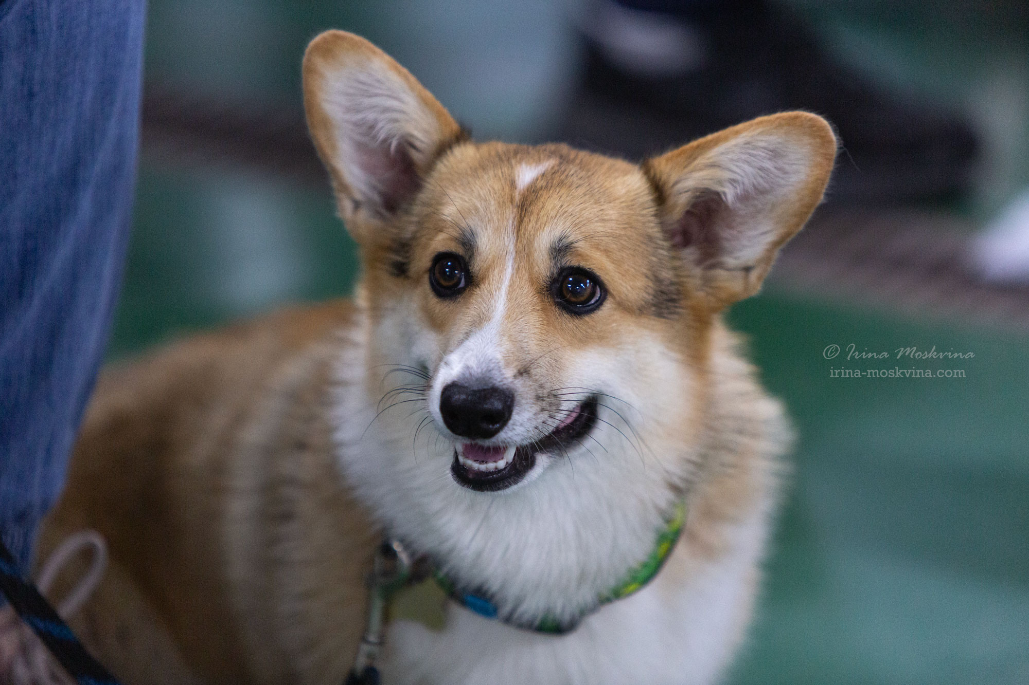 Москва, ВЦ «Сфера» | САС | 01.07.23. Ирина Москвина | фотограф | Москва