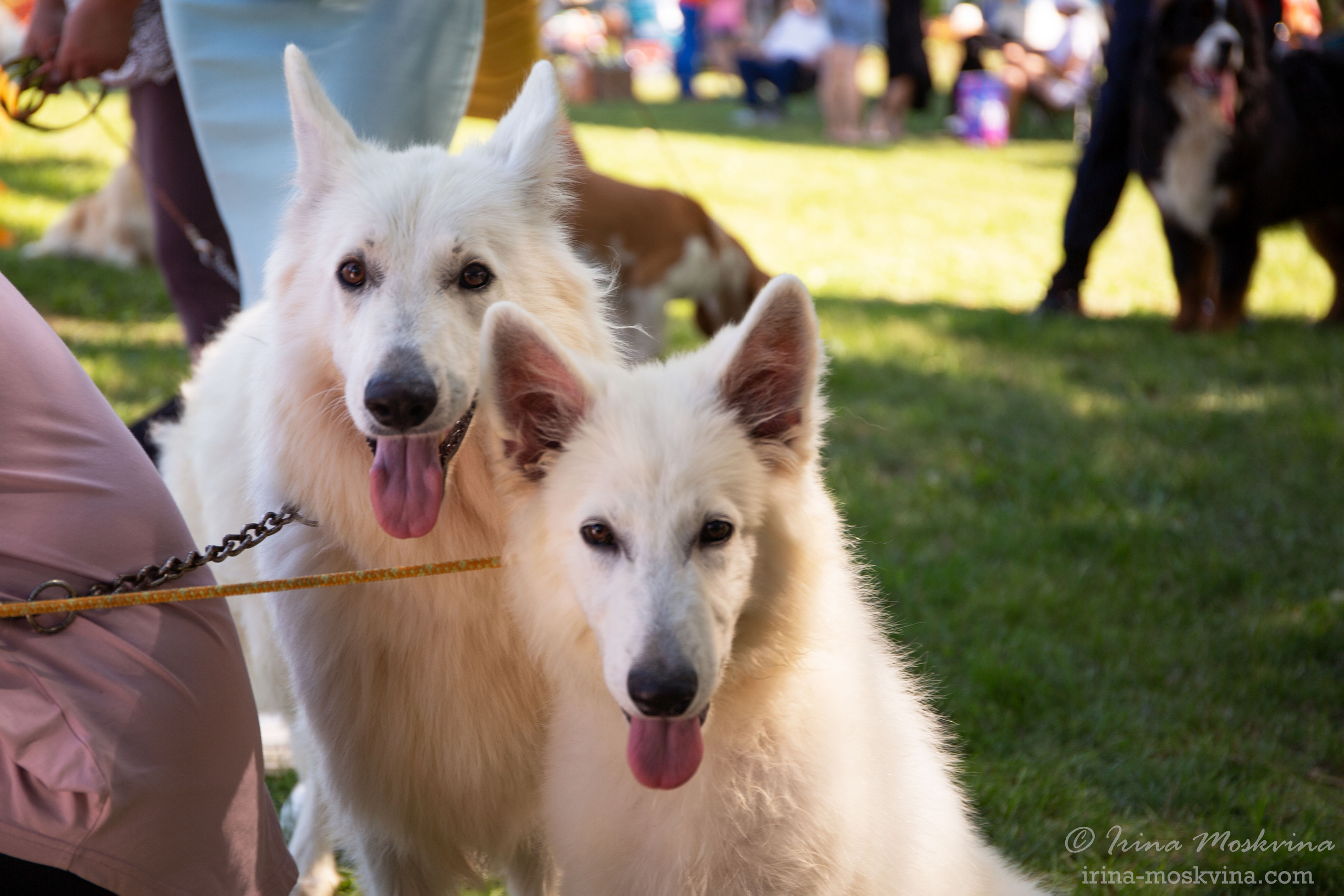 Липецк | САС | 31.07.21. Ирина Москвина | фотограф | Москва