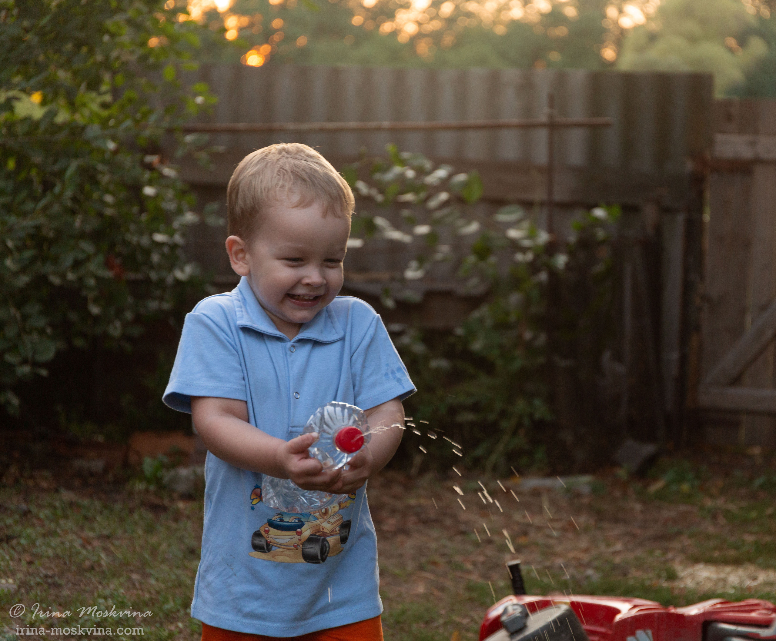 Егорка | август 2021. Ирина Москвина | фотограф | Москва