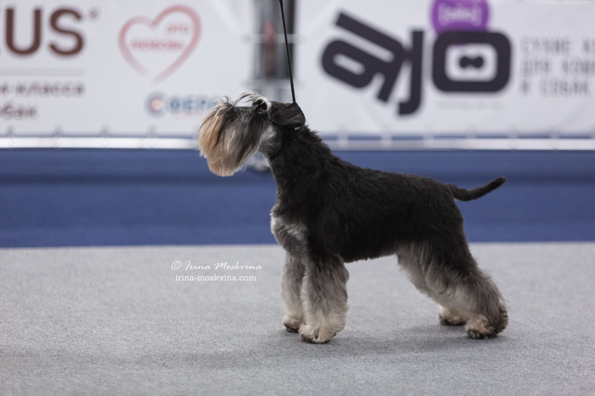 Москва, ВЦ «Сфера» | САС | 02.07.23. Ирина Москвина | фотограф | Москва