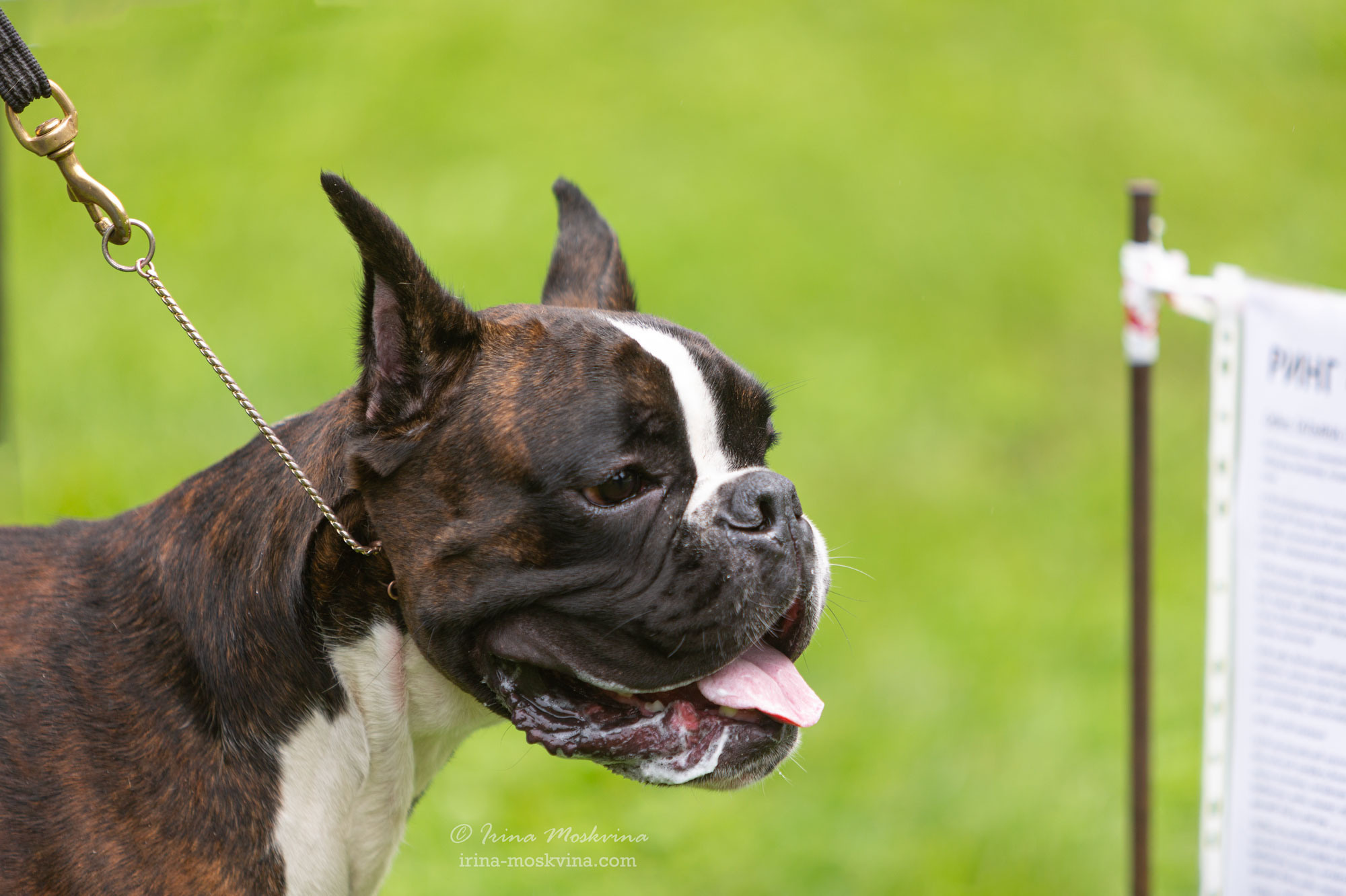 Москва, Сокольники | САС | 15.07.23. Ирина Москвина | фотограф | Москва