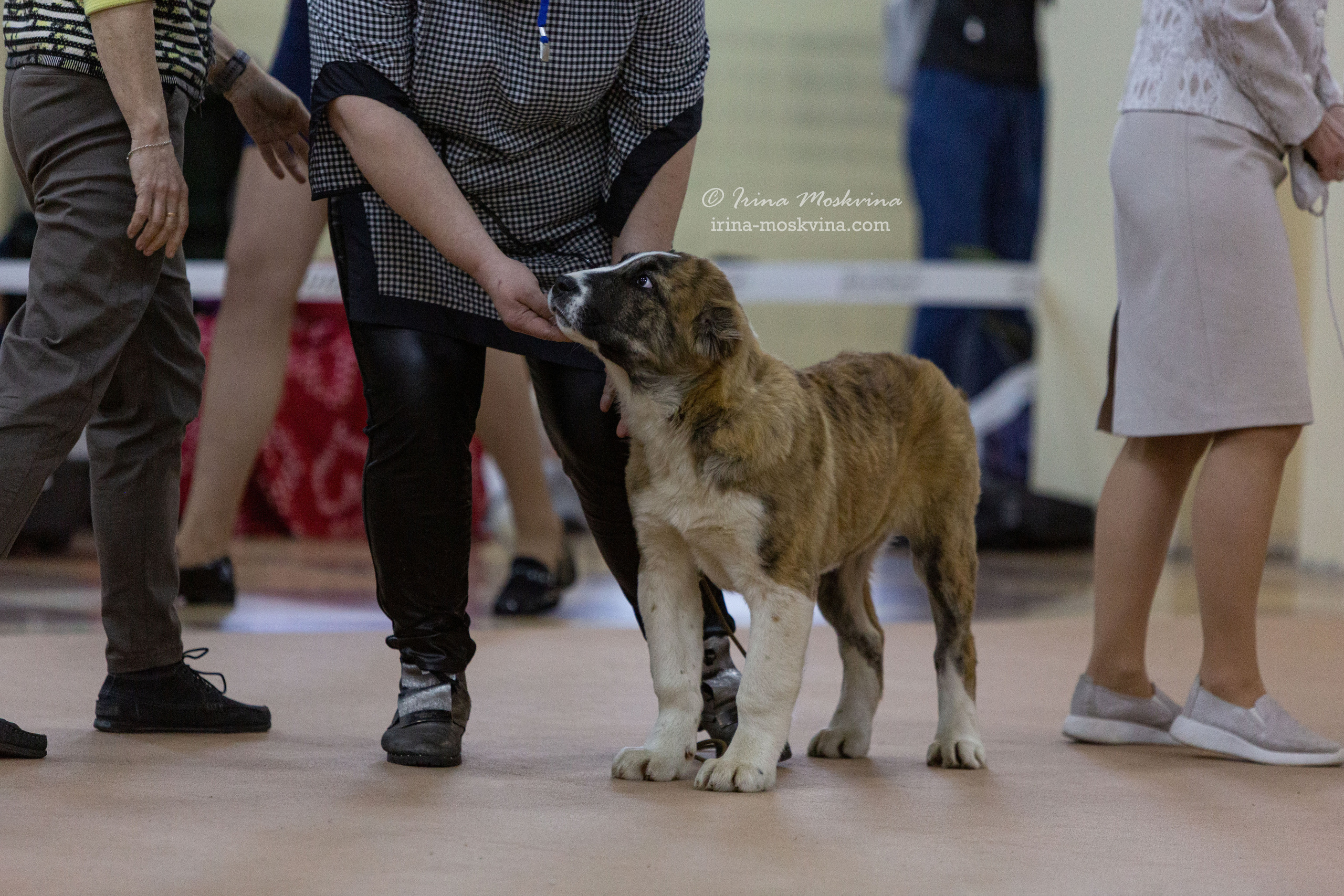 Белгород | САС | 02.04.22. Ирина Москвина | фотограф | Москва