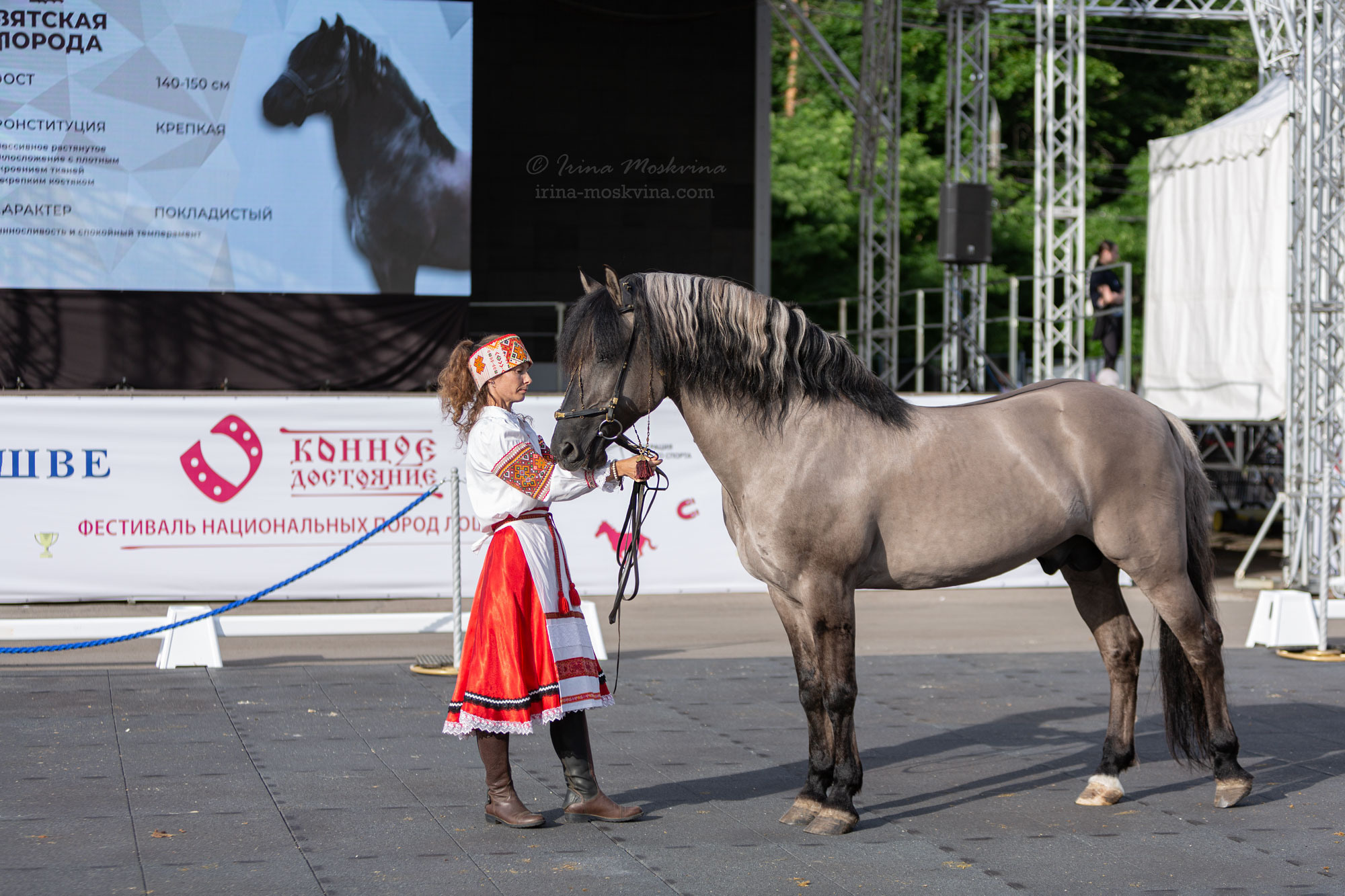 Вятская порода
