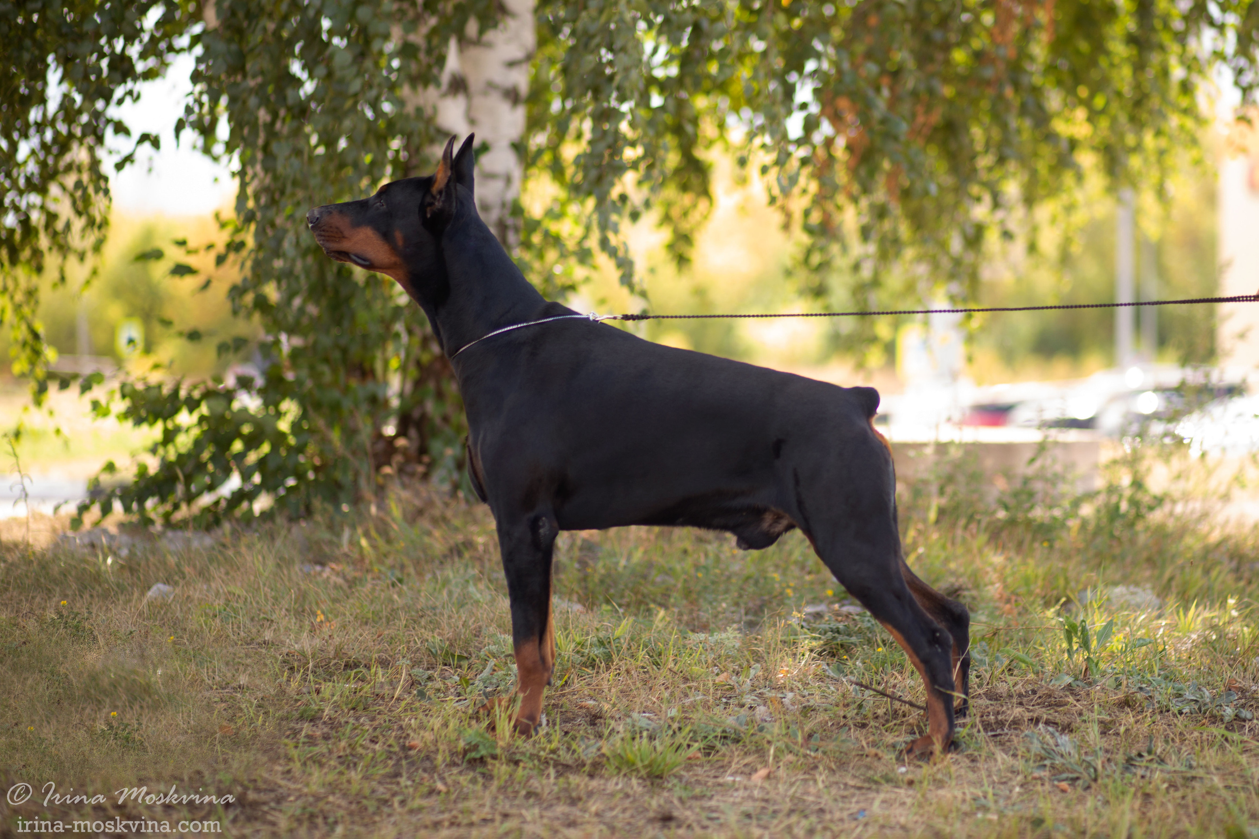 Губкин | САС | 04.09.21. Ирина Москвина | фотограф | Москва