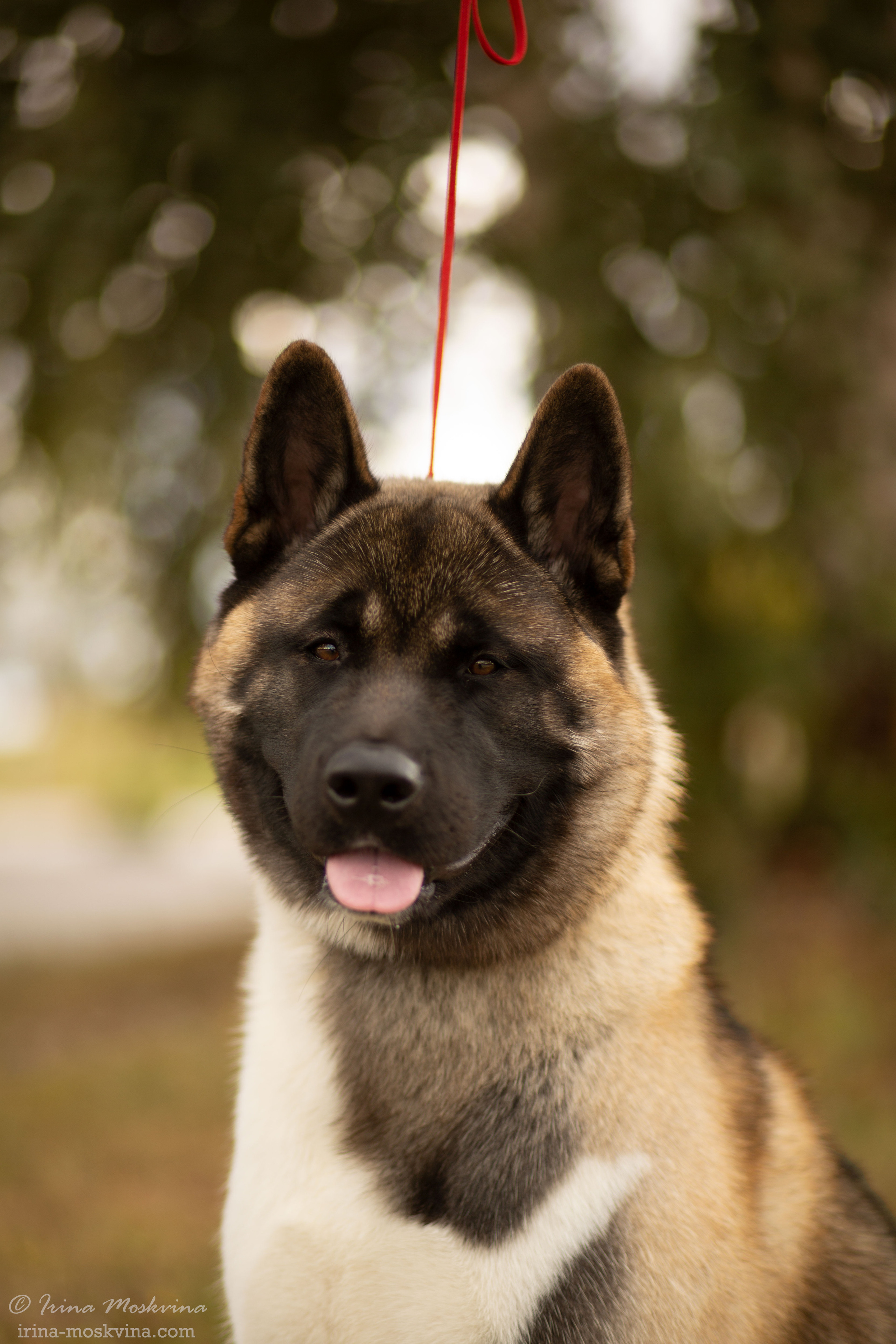 Старый Оскол | САС | 05.09.21. Ирина Москвина | фотограф | Москва