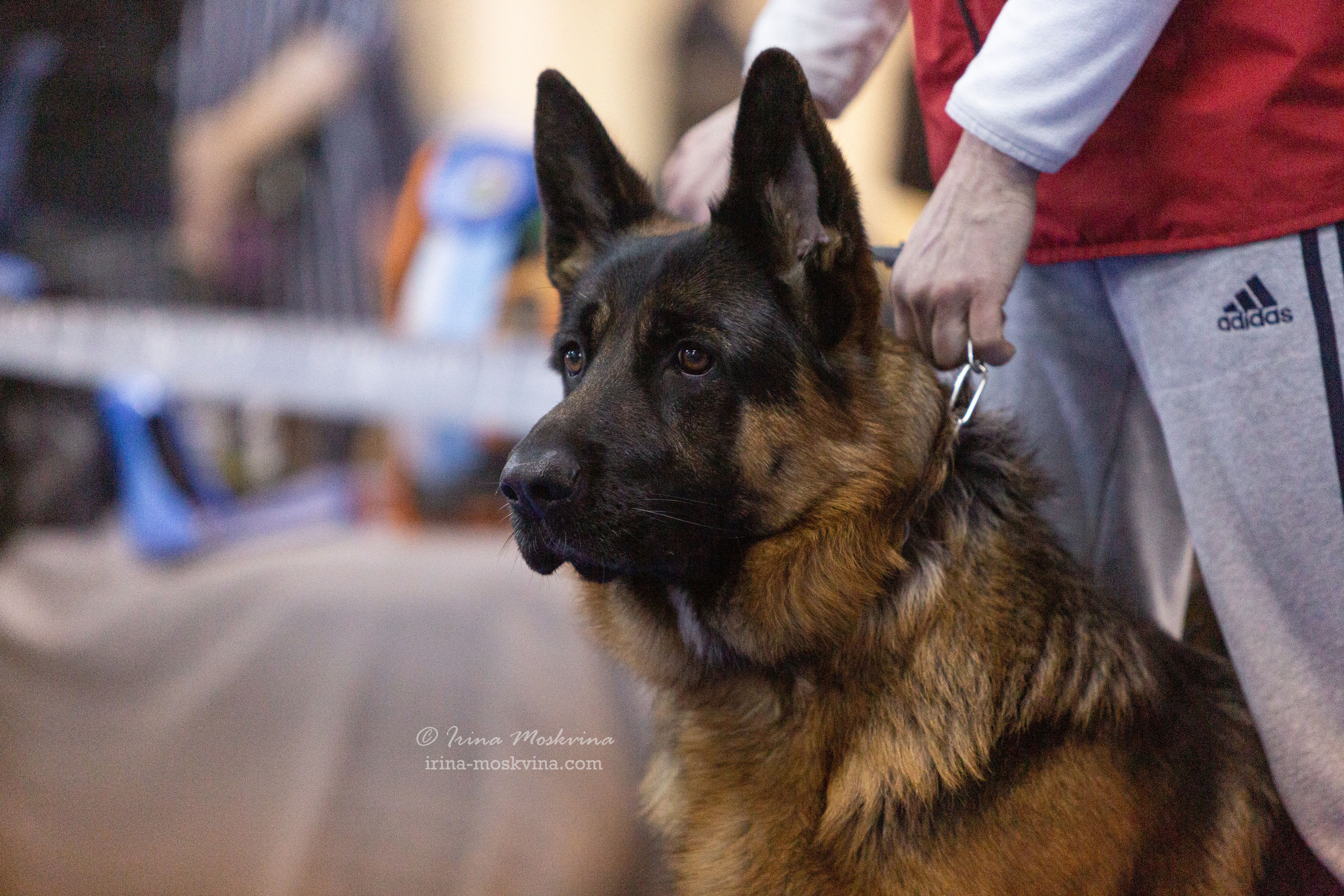 Белгород | САС | 29.01.22. Ирина Москвина | фотограф | Москва