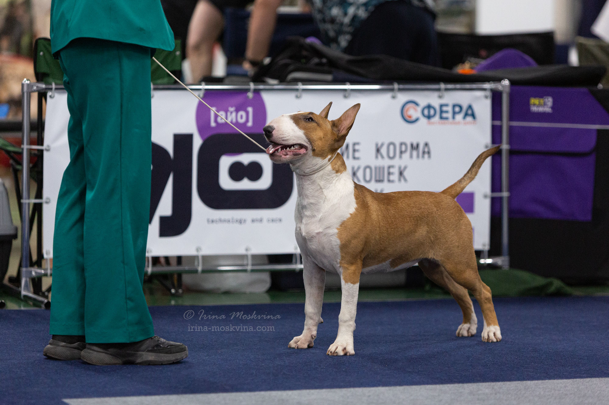 Москва, ВЦ «Сфера» | САС | 02.07.23. Ирина Москвина | фотограф | Москва
