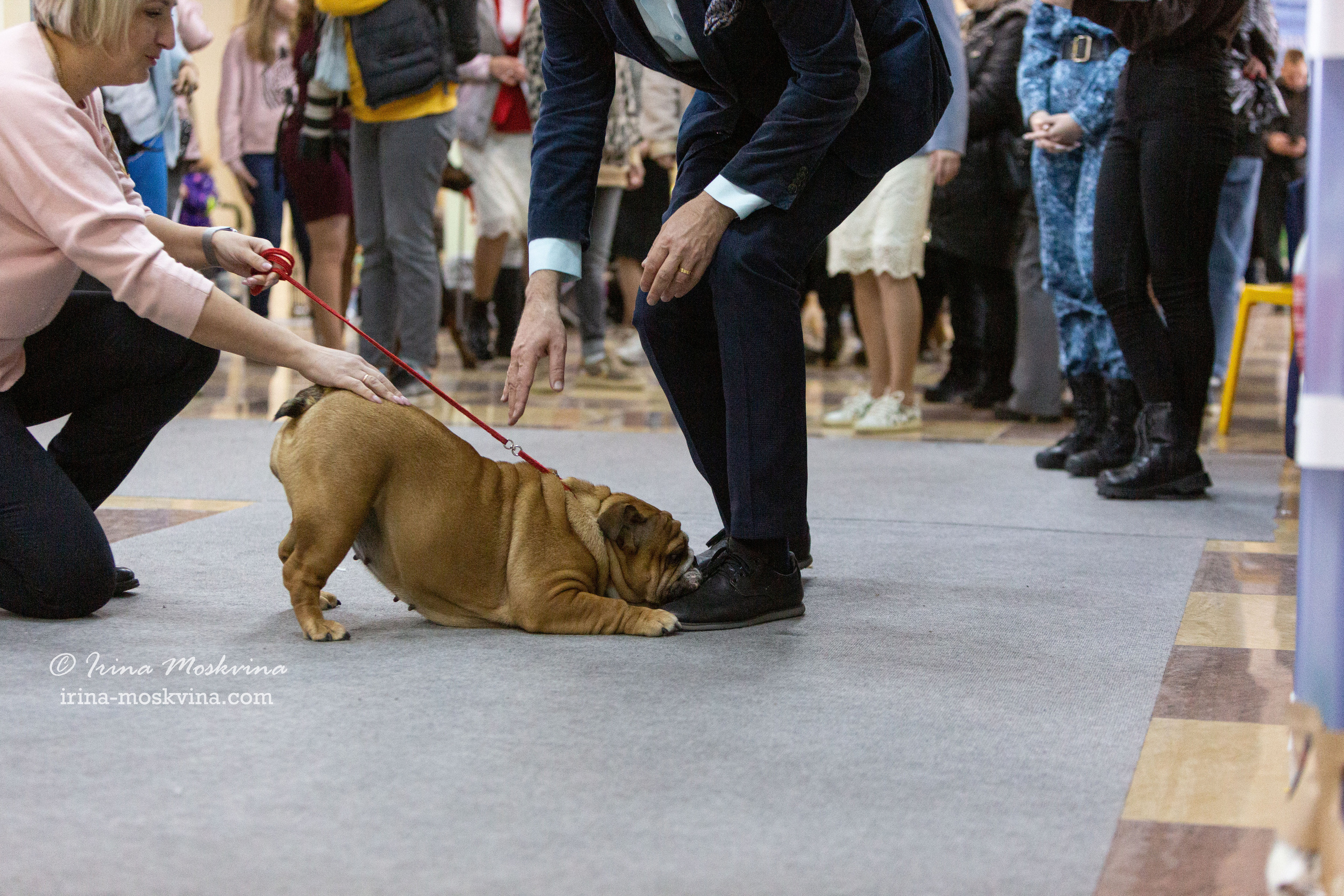 Белгород | САС | 19.03.22. Ирина Москвина | фотограф | Москва