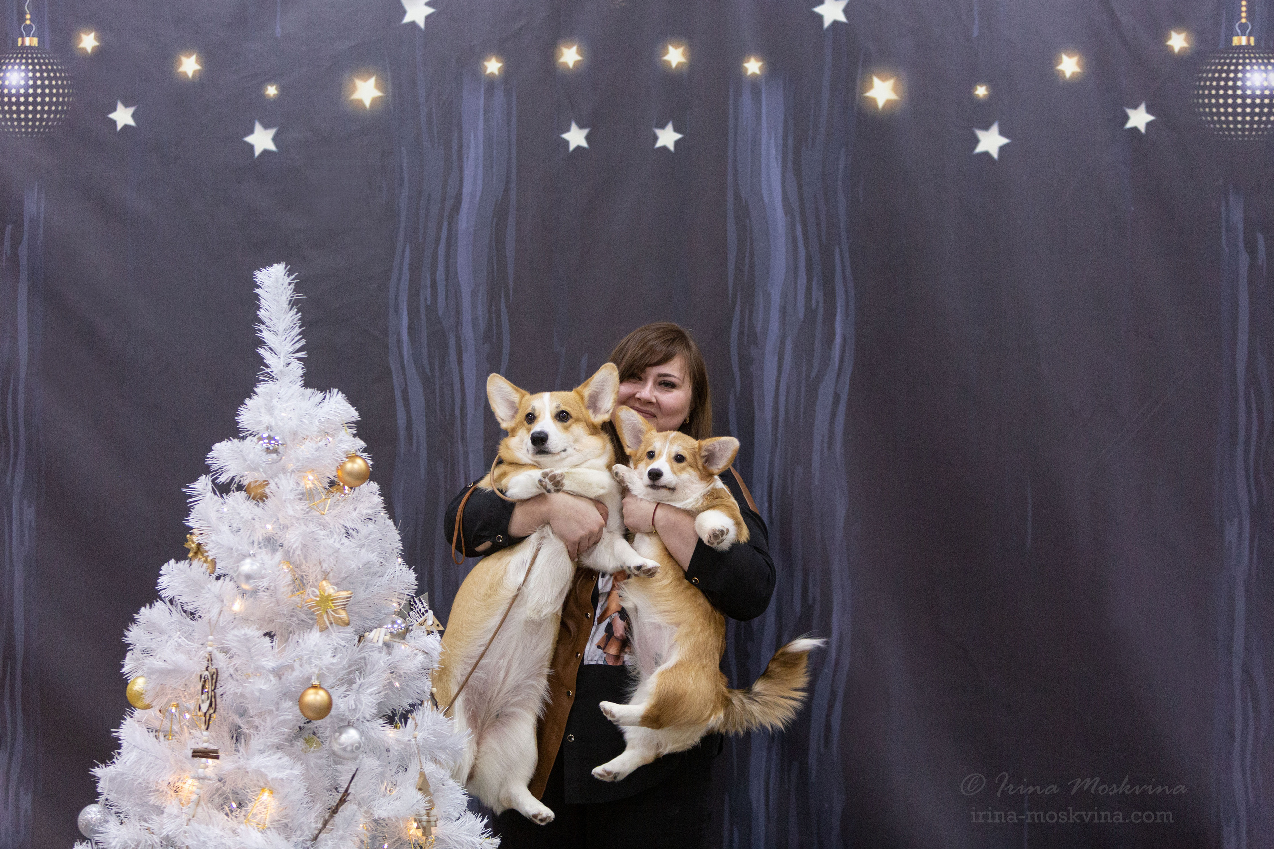 Белгород | САС | 25.12.21. Ирина Москвина | фотограф | Москва