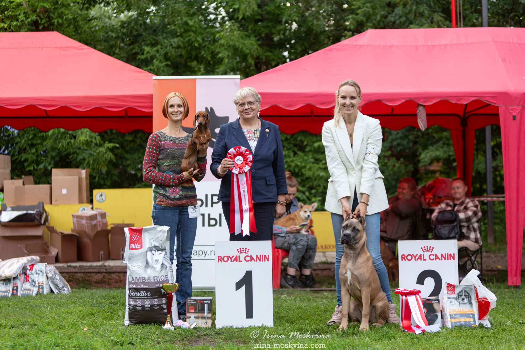 Москва, Сокольники | САС | 15.07.23. Ирина Москвина | фотограф | Москва