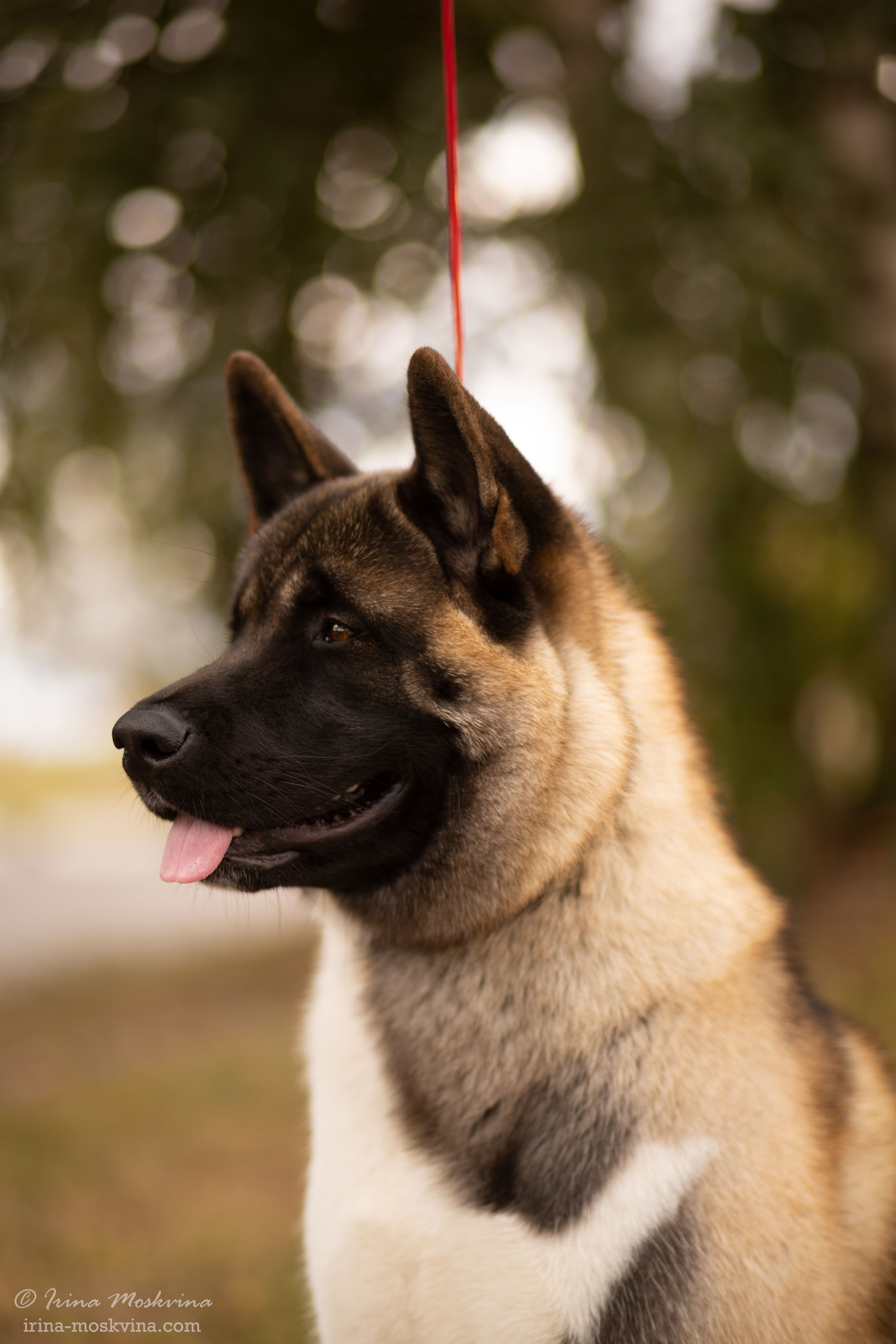 Старый Оскол | САС | 05.09.21. Ирина Москвина | фотограф | Москва