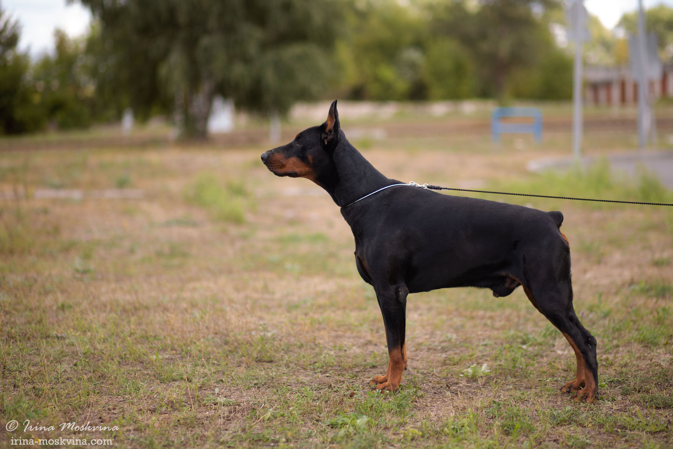 Губкин | САС | 04.09.21. Ирина Москвина | фотограф | Москва