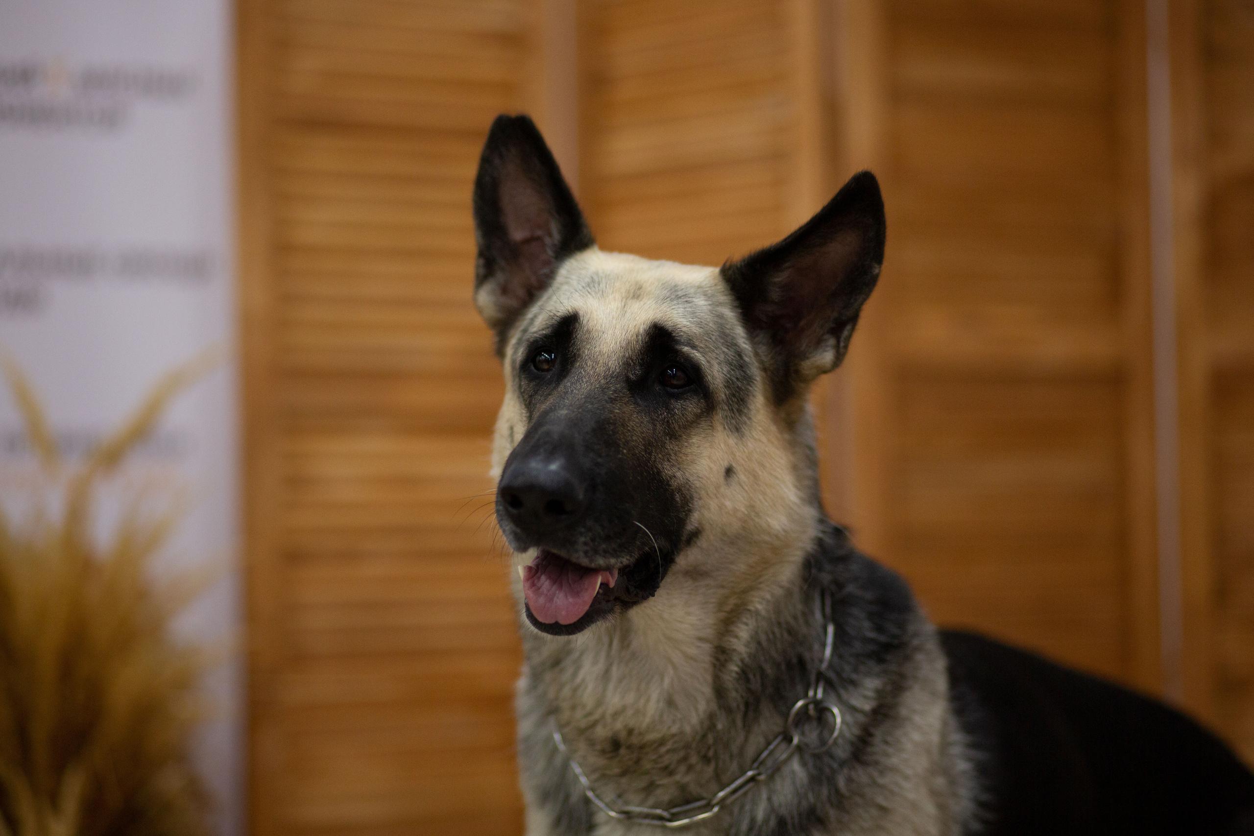 Губкин | САС | 04.09.21. Ирина Москвина | фотограф | Москва