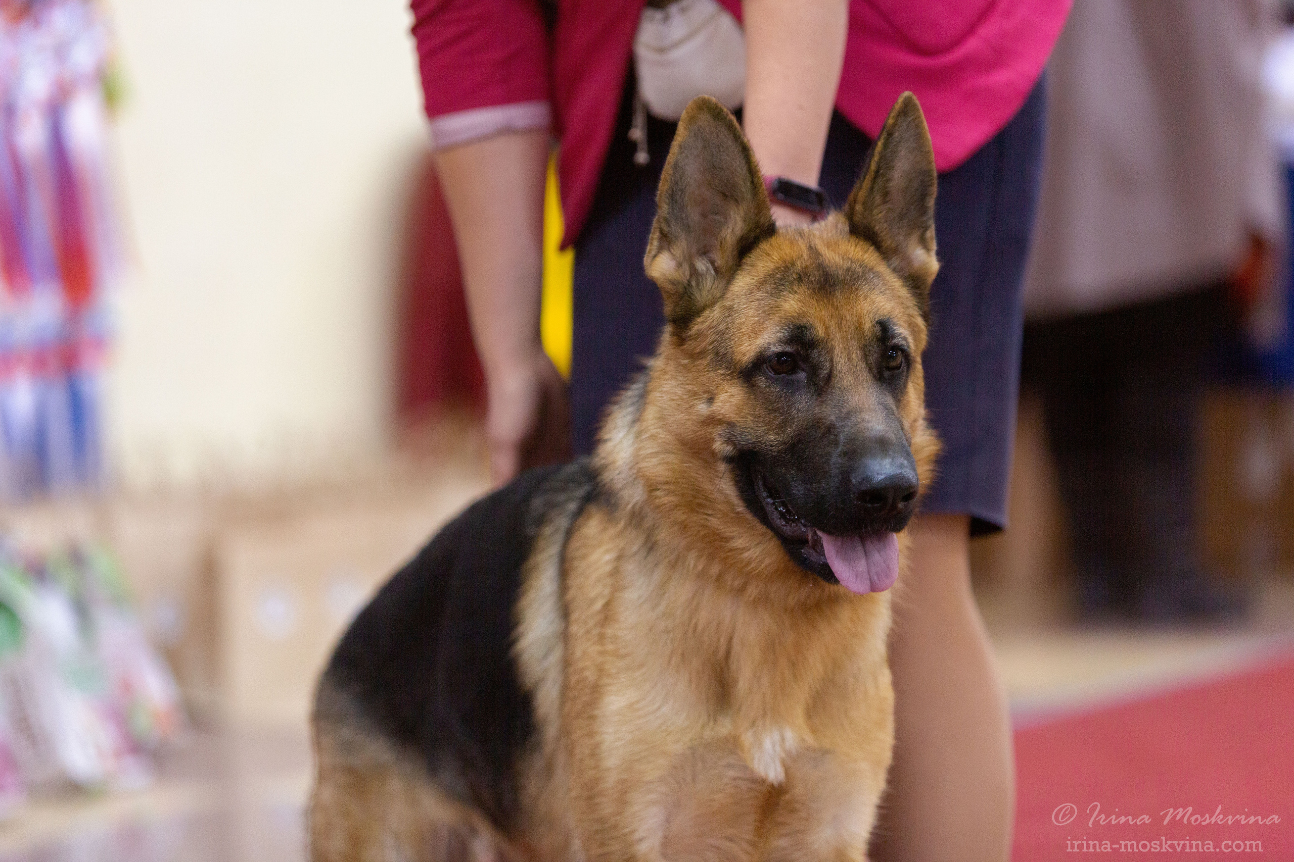 Белгород | САС | 14.11.21. Ирина Москвина | фотограф | Москва