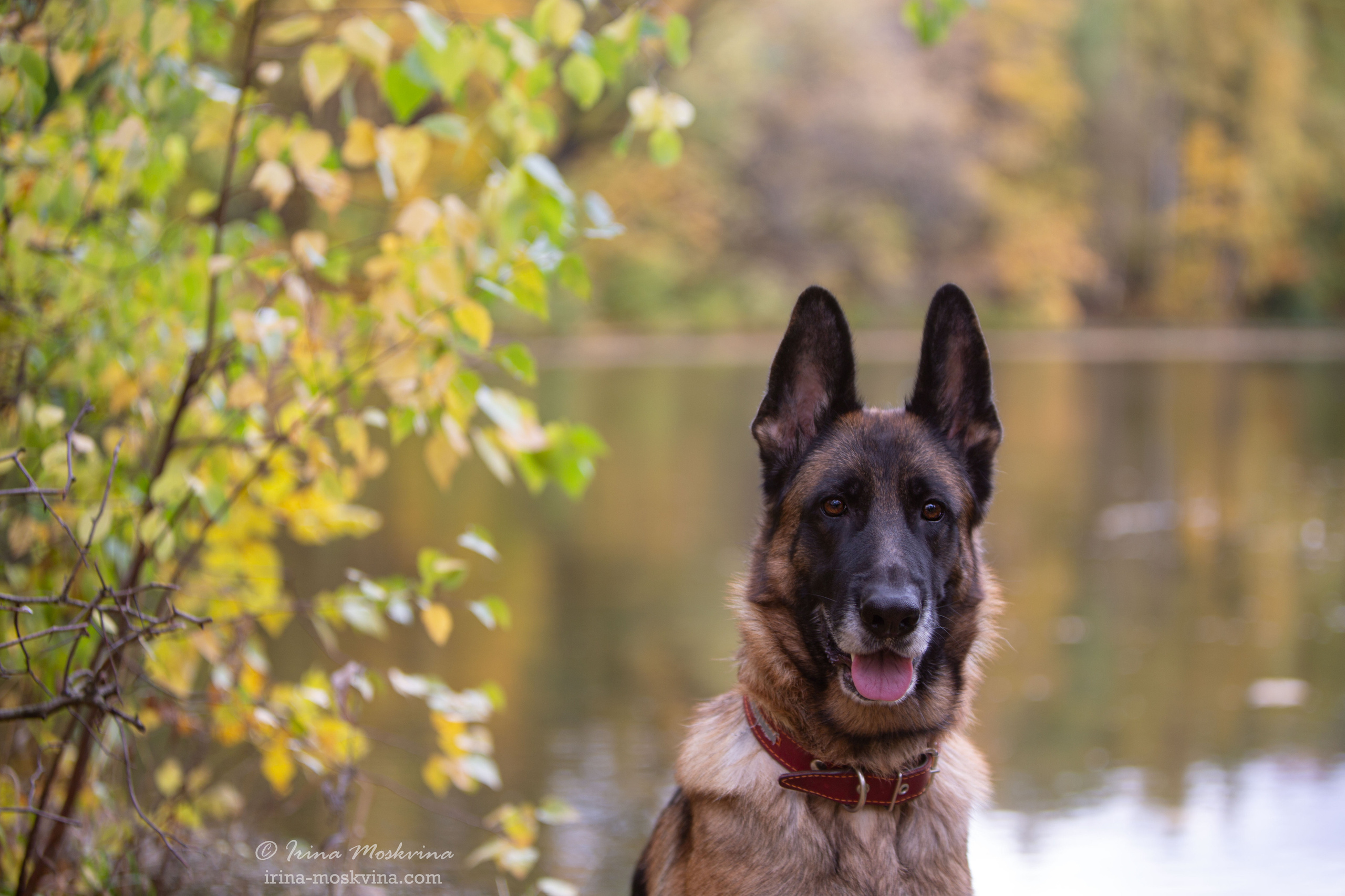 Valdzage Ritsa. Ирина Москвина | фотограф | Москва