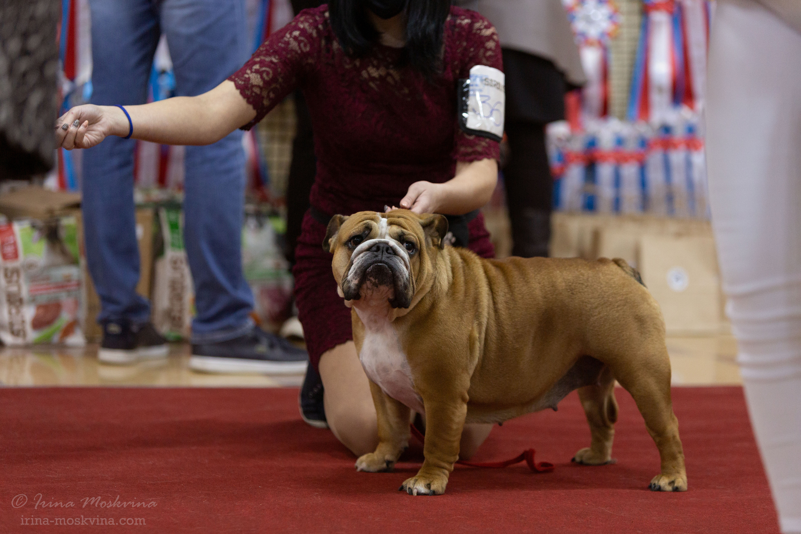 Белгород | САС | 14.11.21. Ирина Москвина | фотограф | Москва