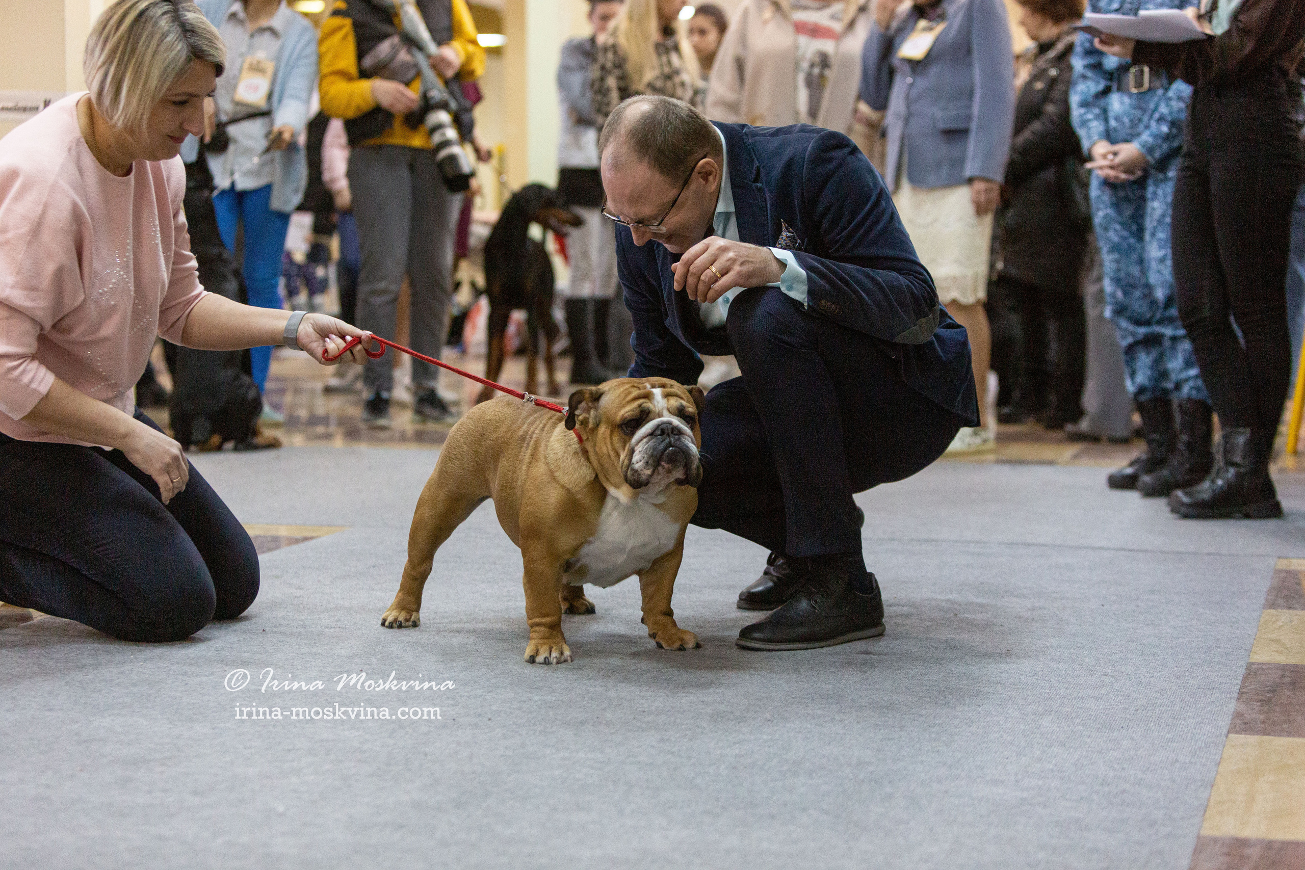 Белгород | САС | 19.03.22. Ирина Москвина | фотограф | Москва
