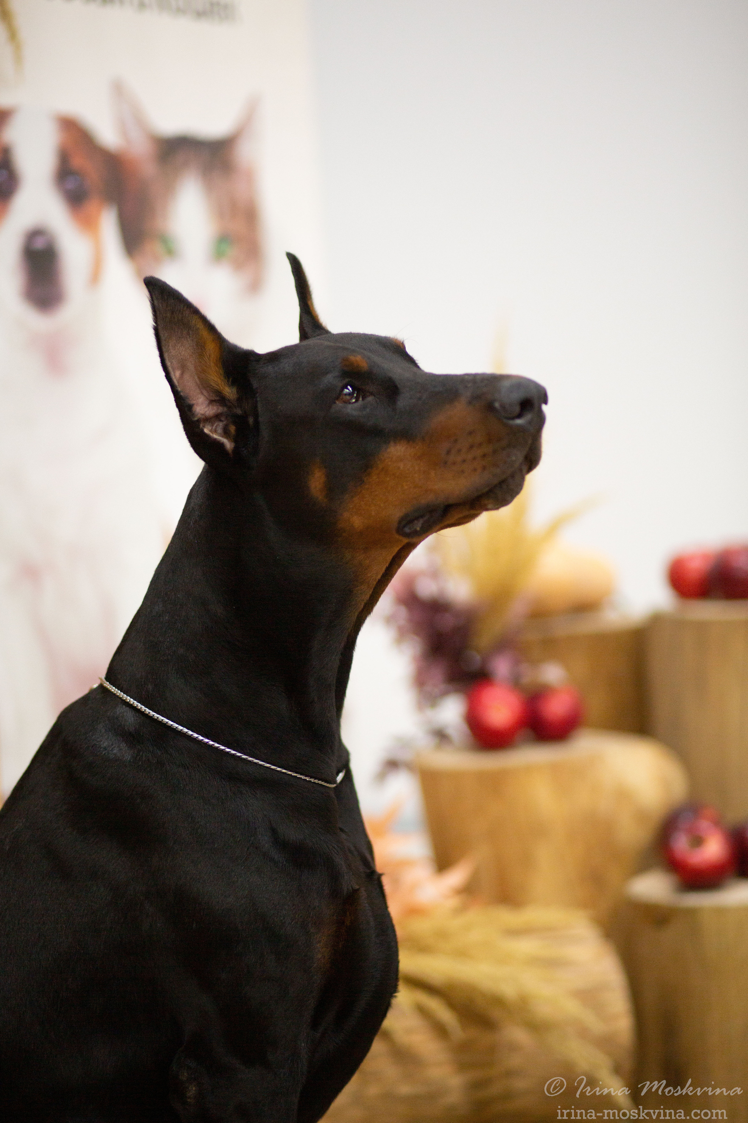 Губкин | САС | 04.09.21. Ирина Москвина | фотограф | Москва