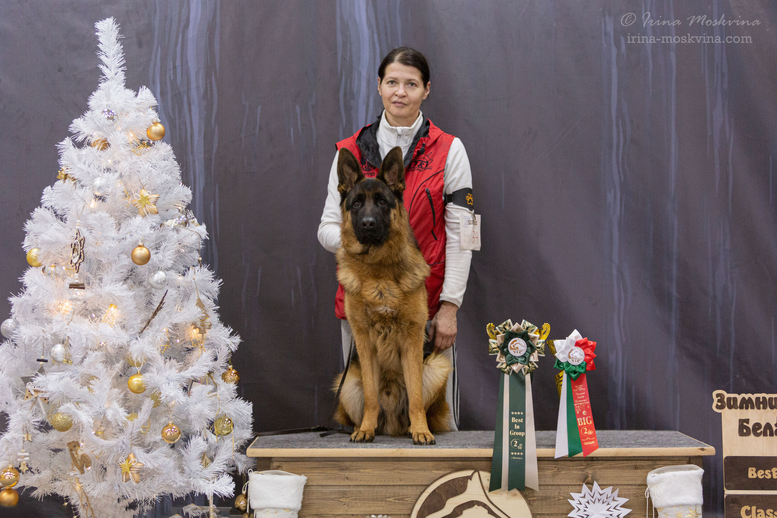Белгород | САС | 25.12.21. Ирина Москвина | фотограф | Москва