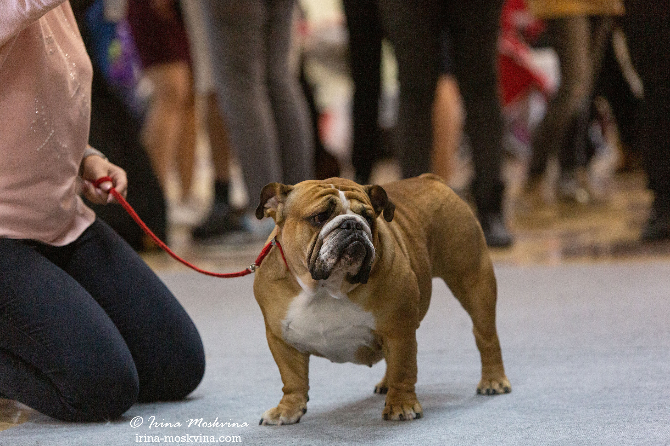 Белгород | САС | 19.03.22. Ирина Москвина | фотограф | Москва