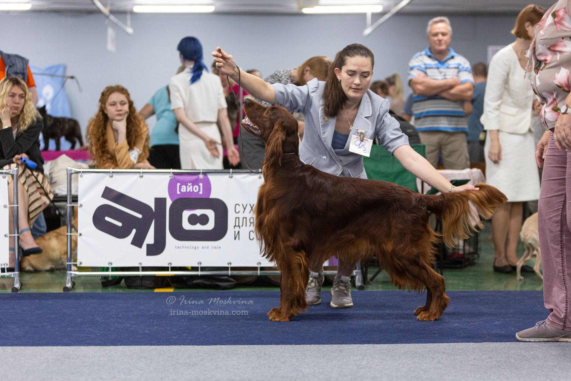 Москва, ВЦ «Сфера» | САС | 02.07.23. Ирина Москвина | фотограф | Москва