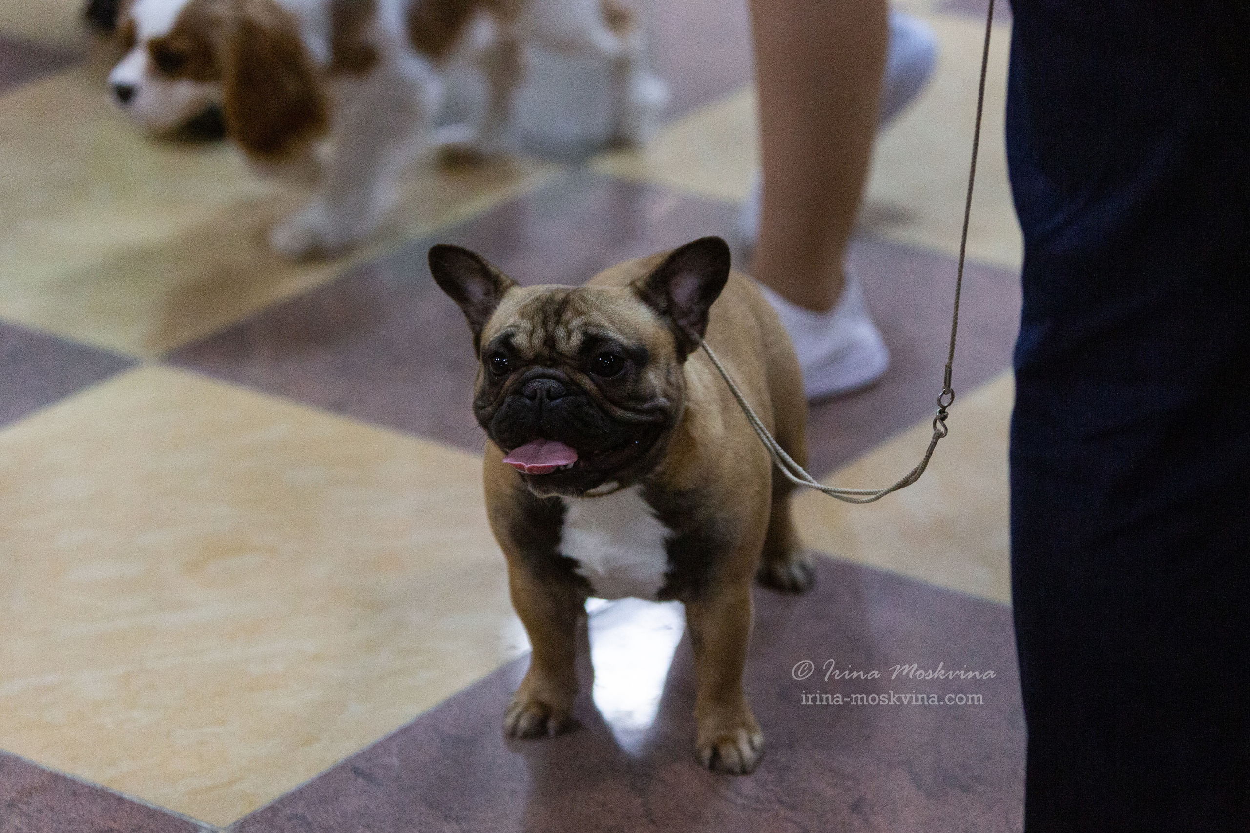 Белгород | САС | 19.03.22. Ирина Москвина | фотограф | Москва