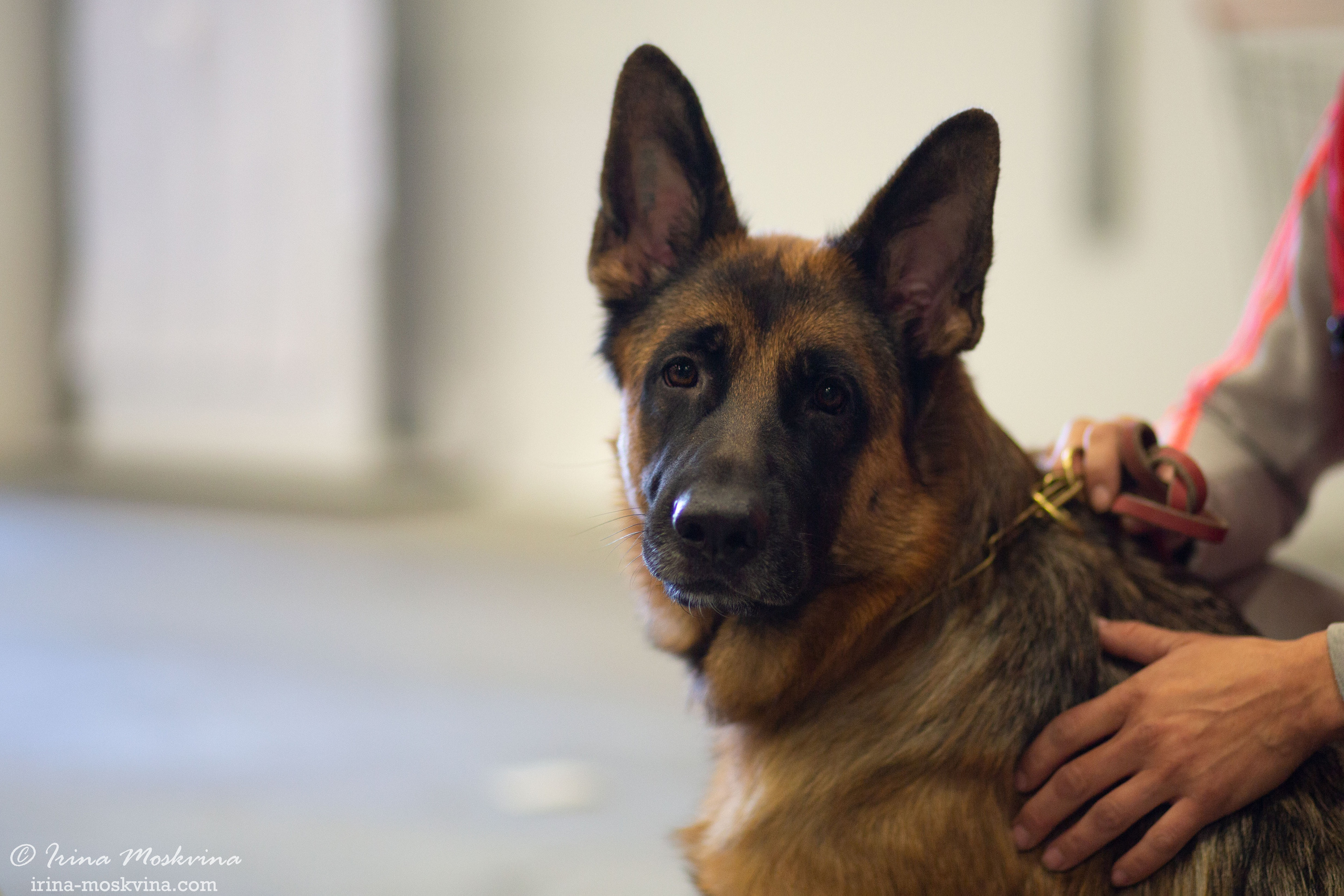 Старый Оскол | САС | 05.09.21. Ирина Москвина | фотограф | Москва